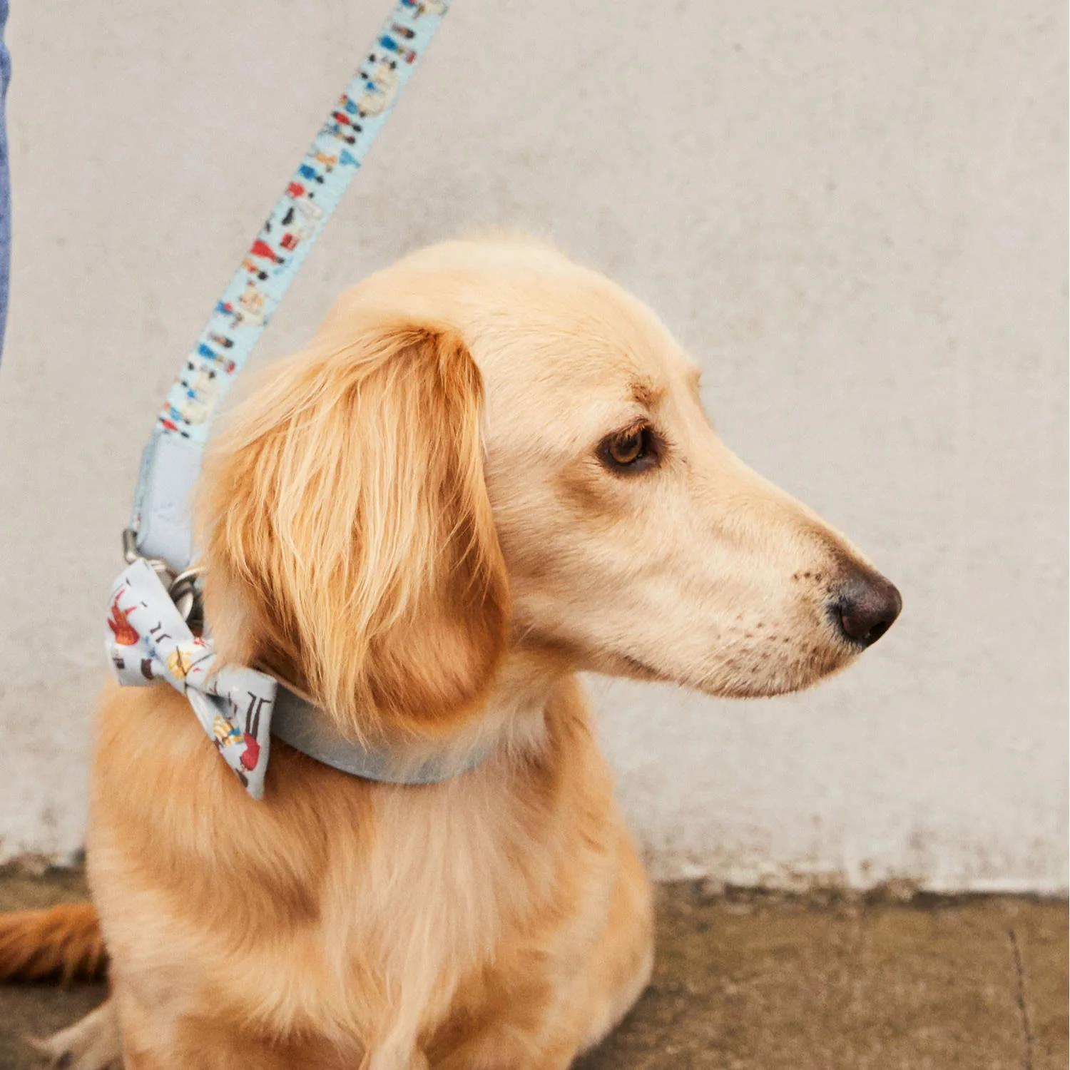 Cath Kidston London People Printed Pet Dog Collar - Image 3
