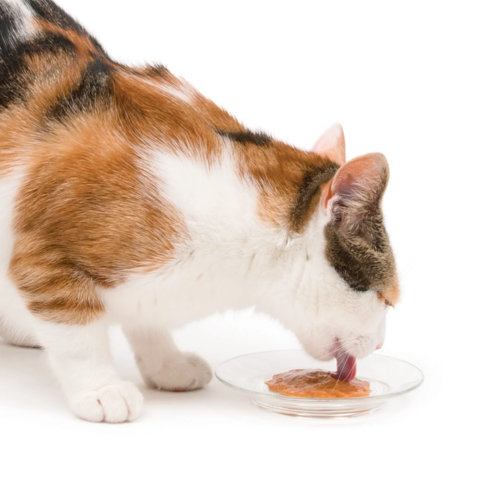 Catit Creamy Lickable Multipack Cat Treats - Image 7