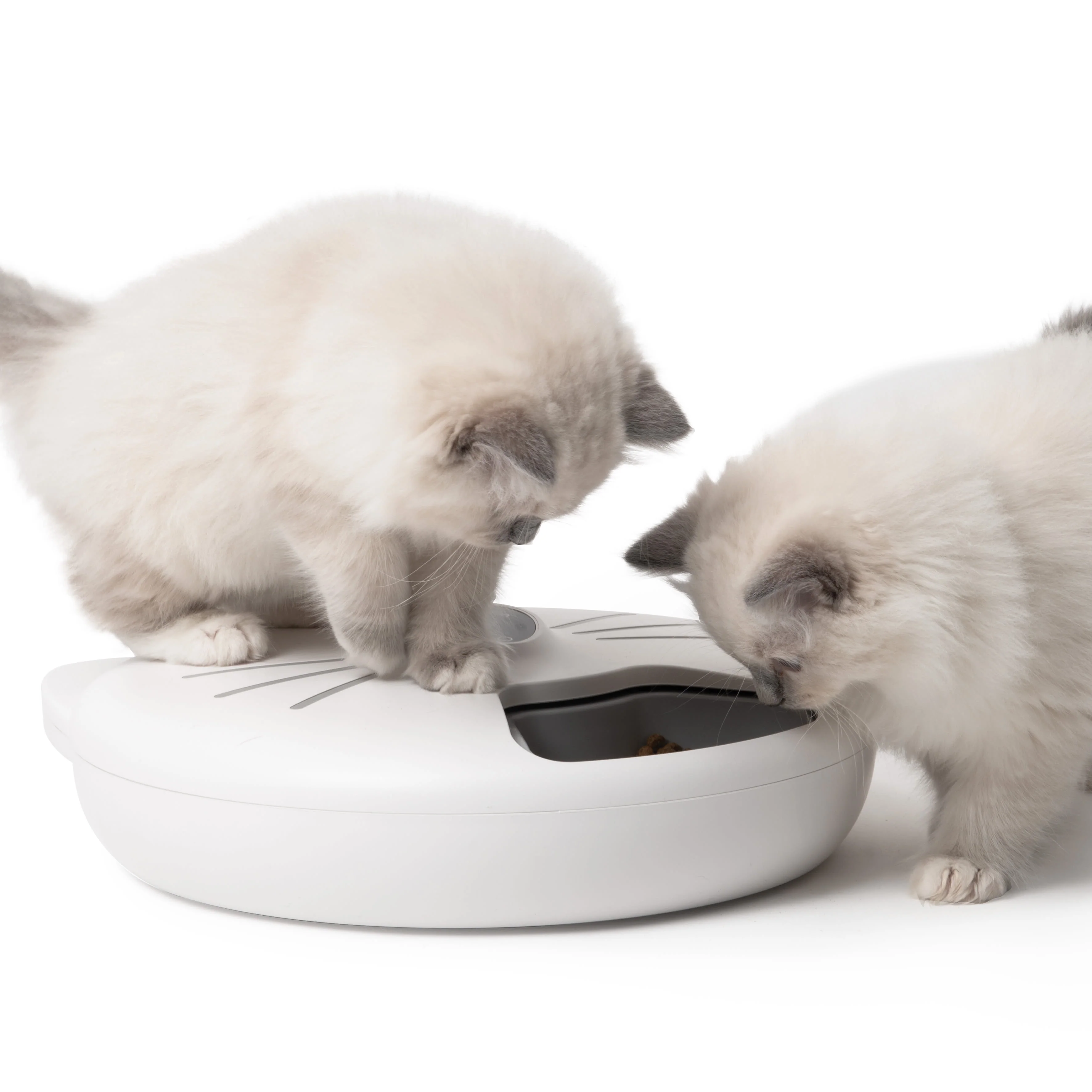 Catit Pixi Cat Smart 6 Meal Feeder - Image 7