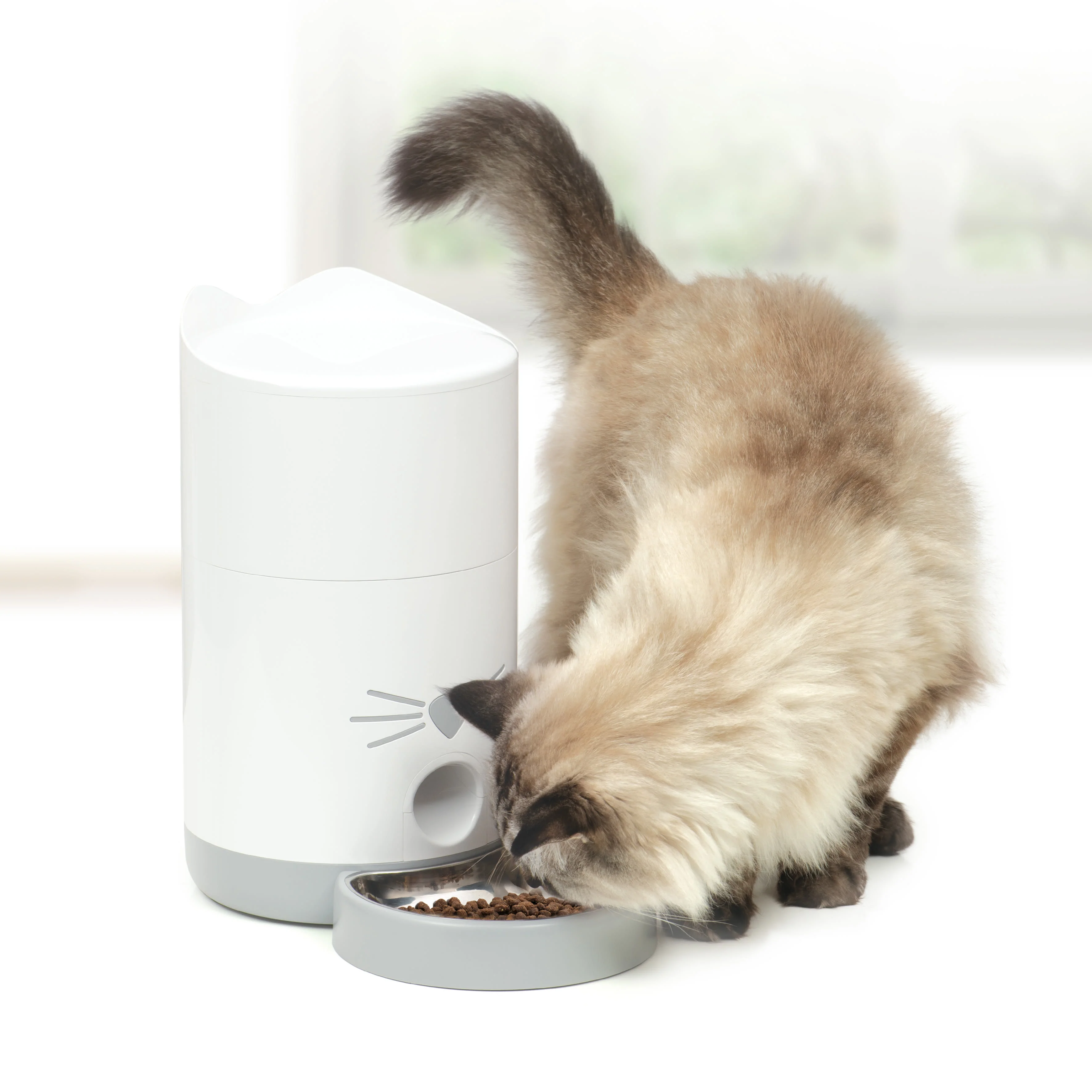 Catit Pixi Cat Smart Feeder - Image 6