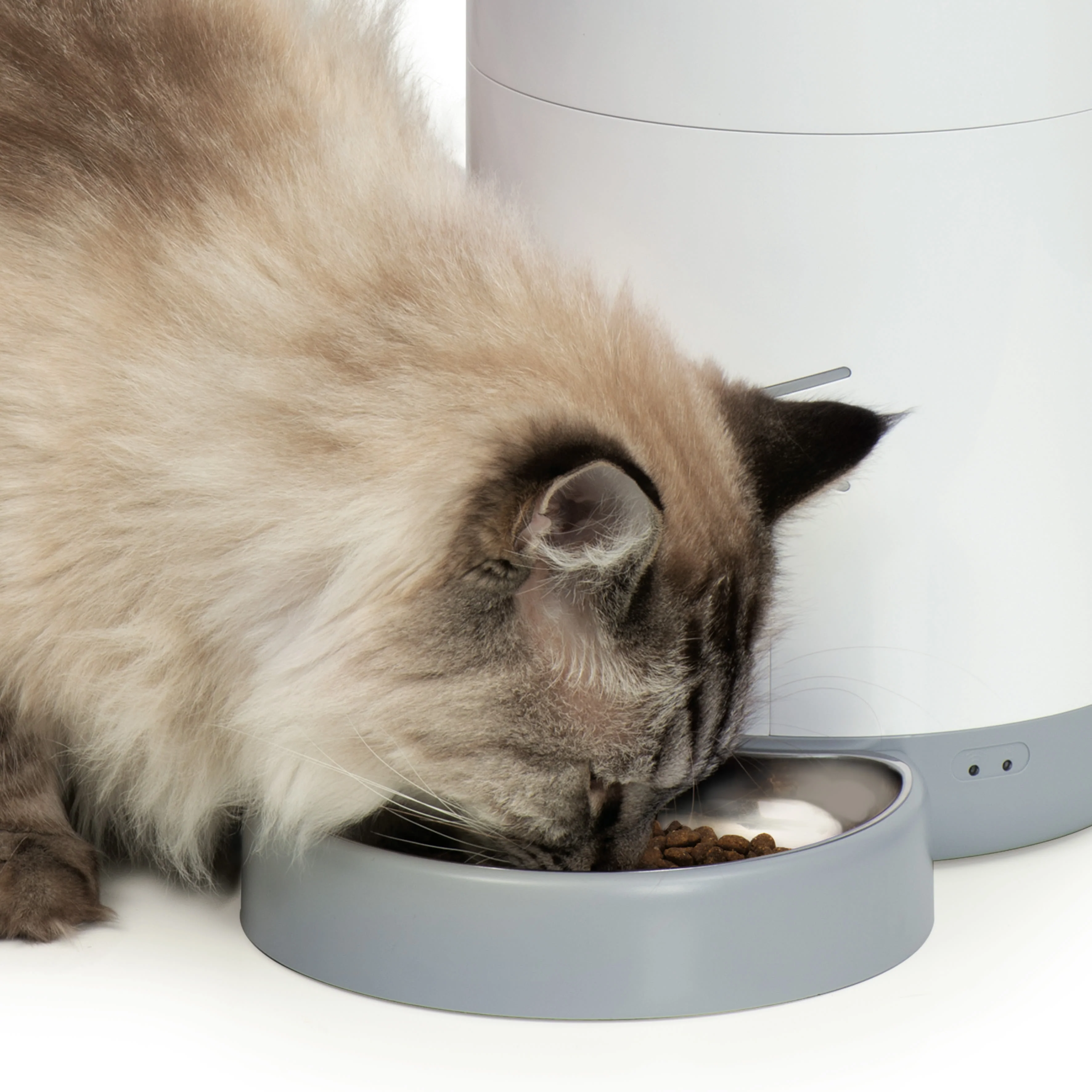 Catit Pixi Cat Smart Feeder - Image 8