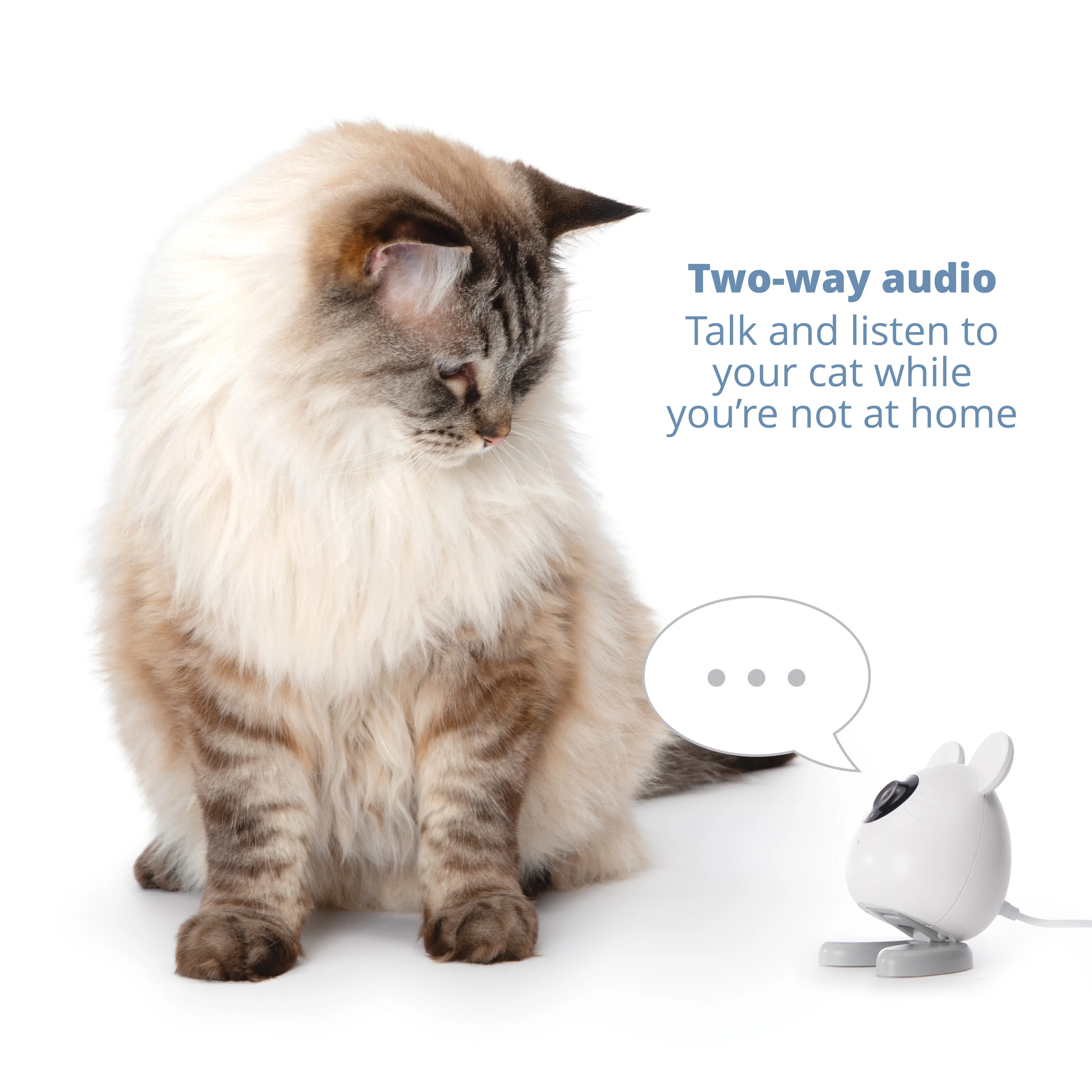 Catit Pixi Cat Smart Mouse Camera - Image 13