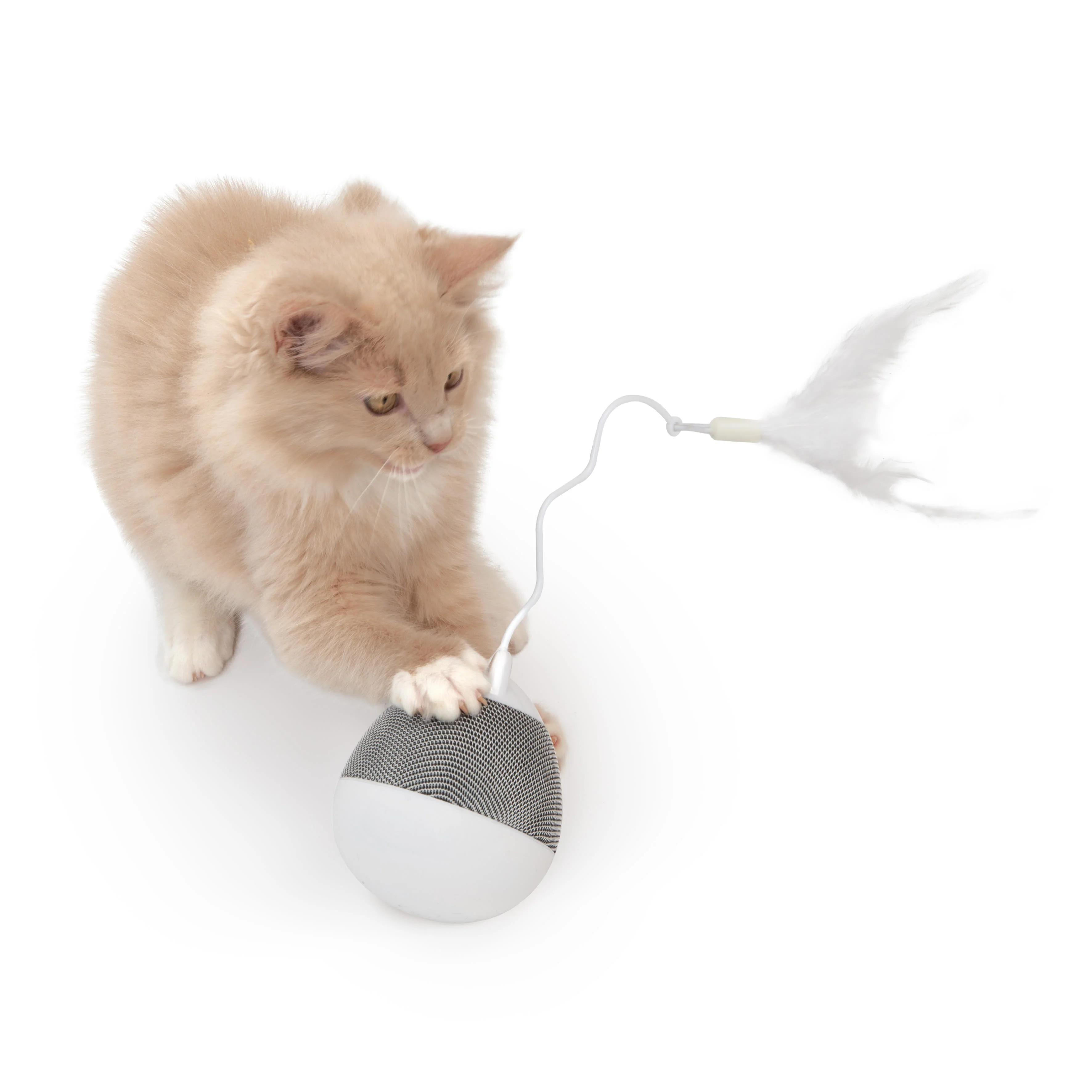 Catit Pixi Spinner Electronic Cat Toy - Image 5