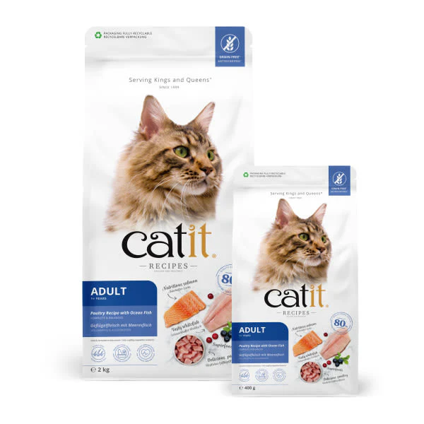 Catit Recipes Dry Adult Cat Food Ocean Fish - Image 5