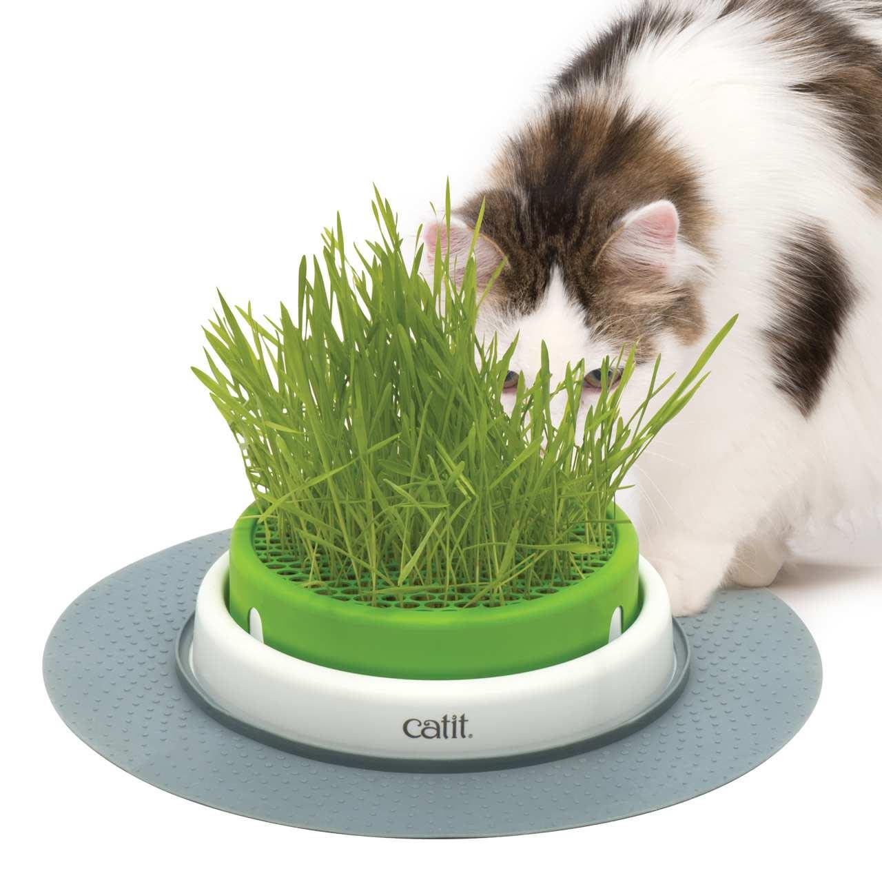 Catit Senses 2.0 Grass Planter Cat Toy - Image 3