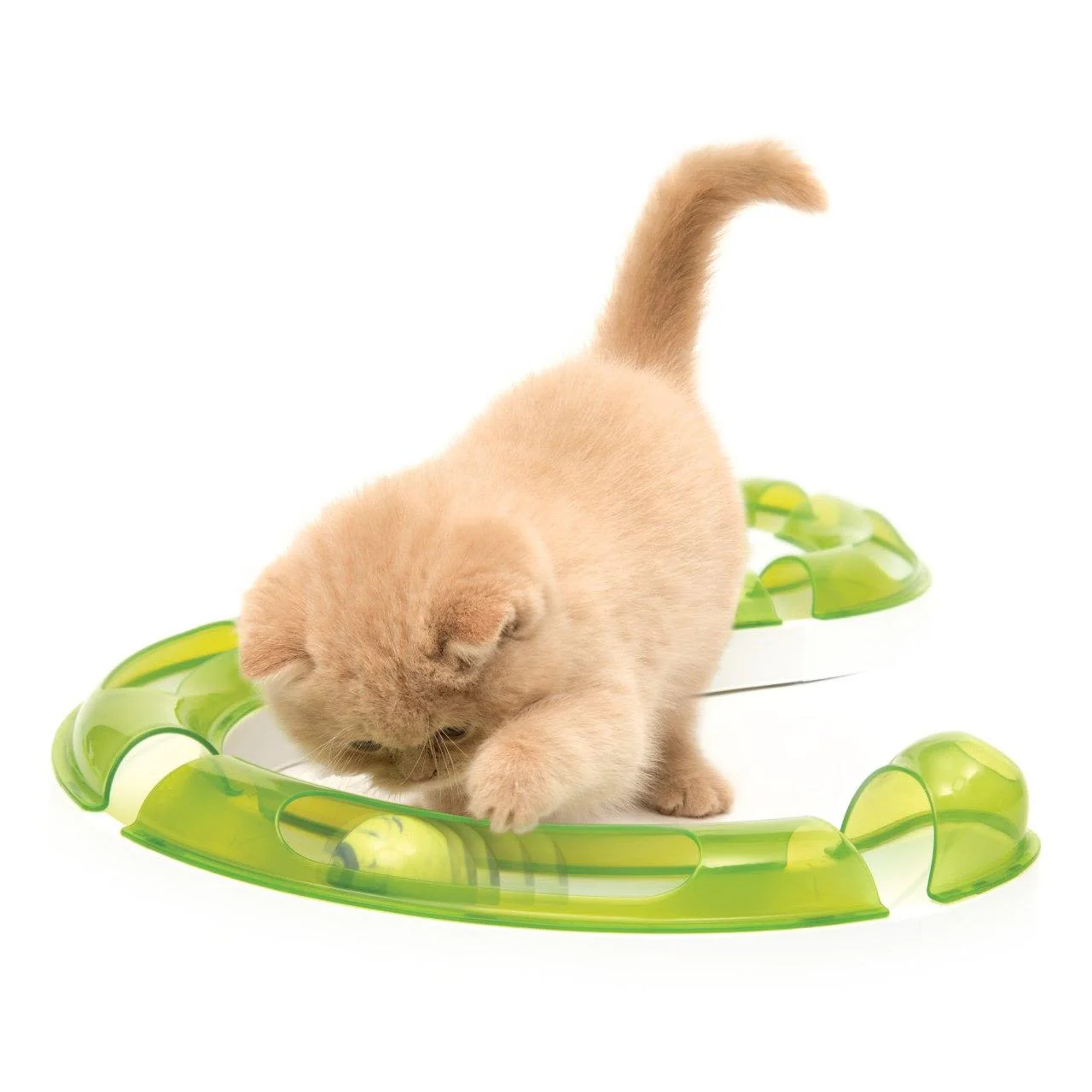 Catit Senses 2.0 Play Circuit Cat Toy - Image 3
