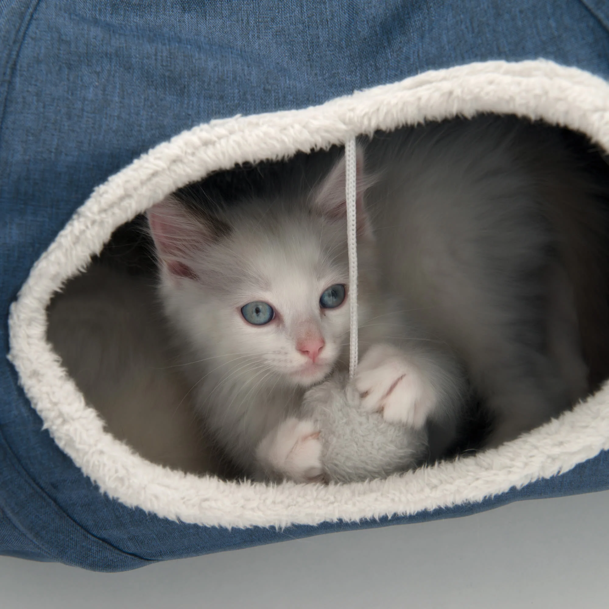 Catit Vesper Tunnel with Sleeping Cushion Cat Toy - Image 15