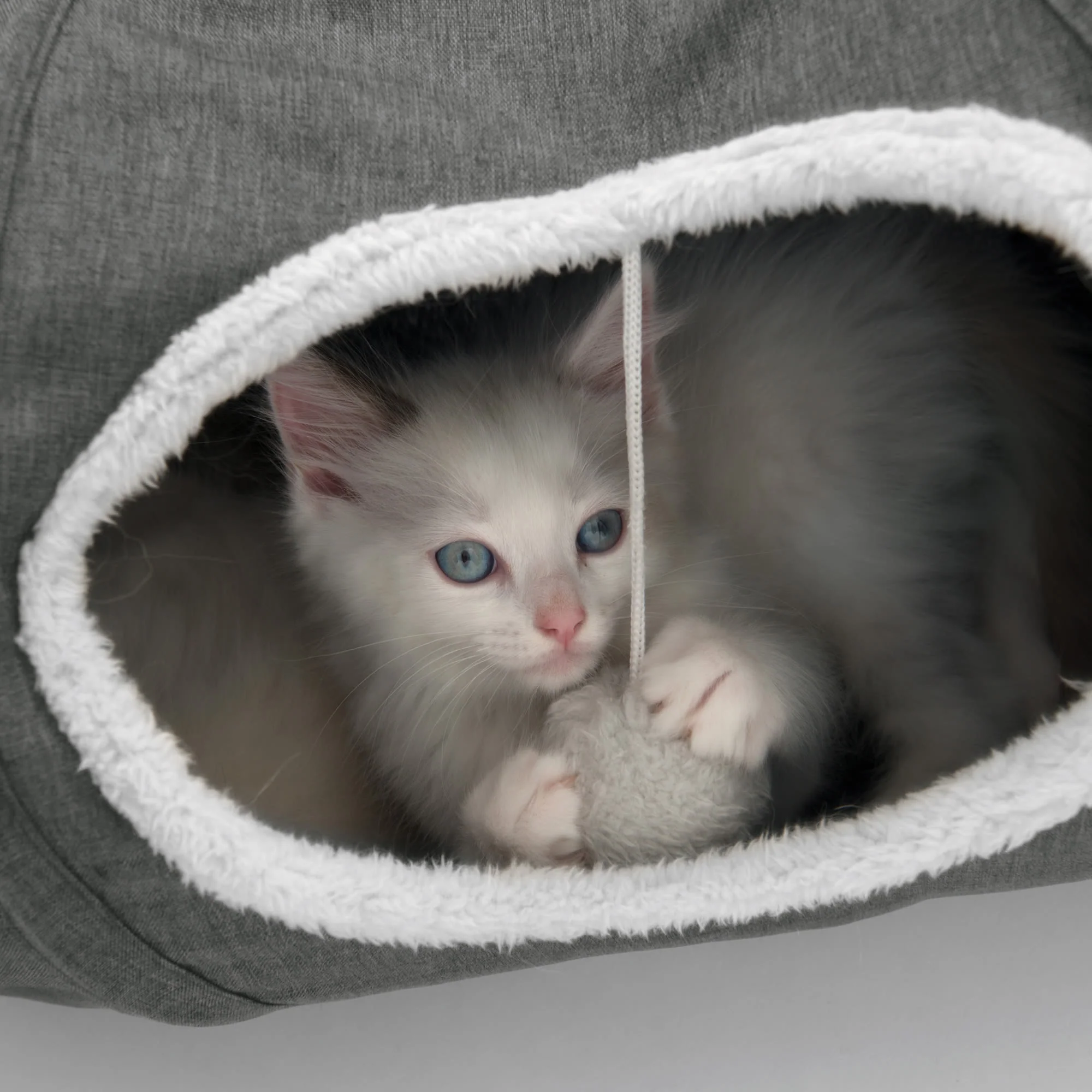 Catit Vesper Tunnel with Sleeping Cushion Cat Toy - Image 16