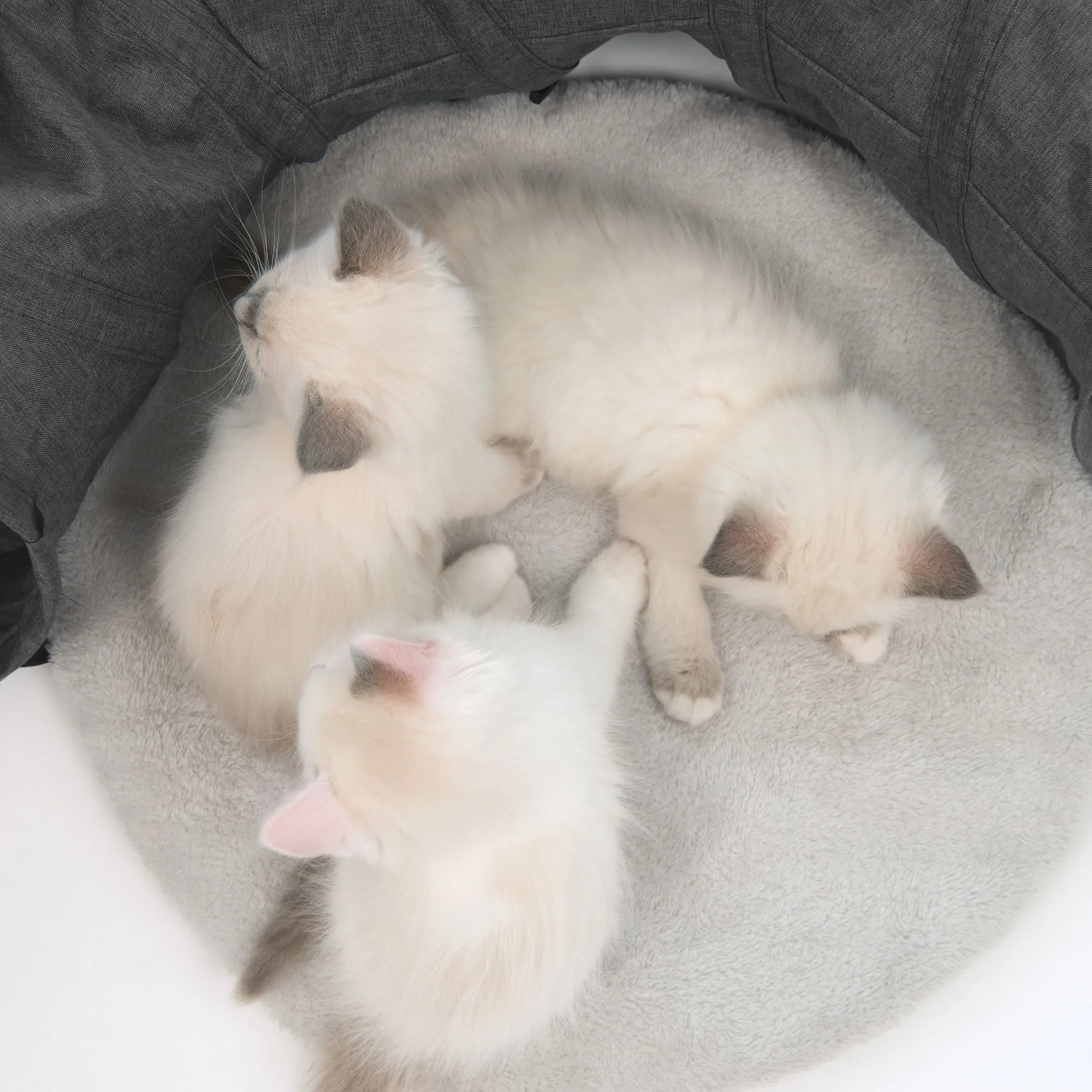 Catit Vesper Tunnel with Sleeping Cushion Cat Toy - Image 18