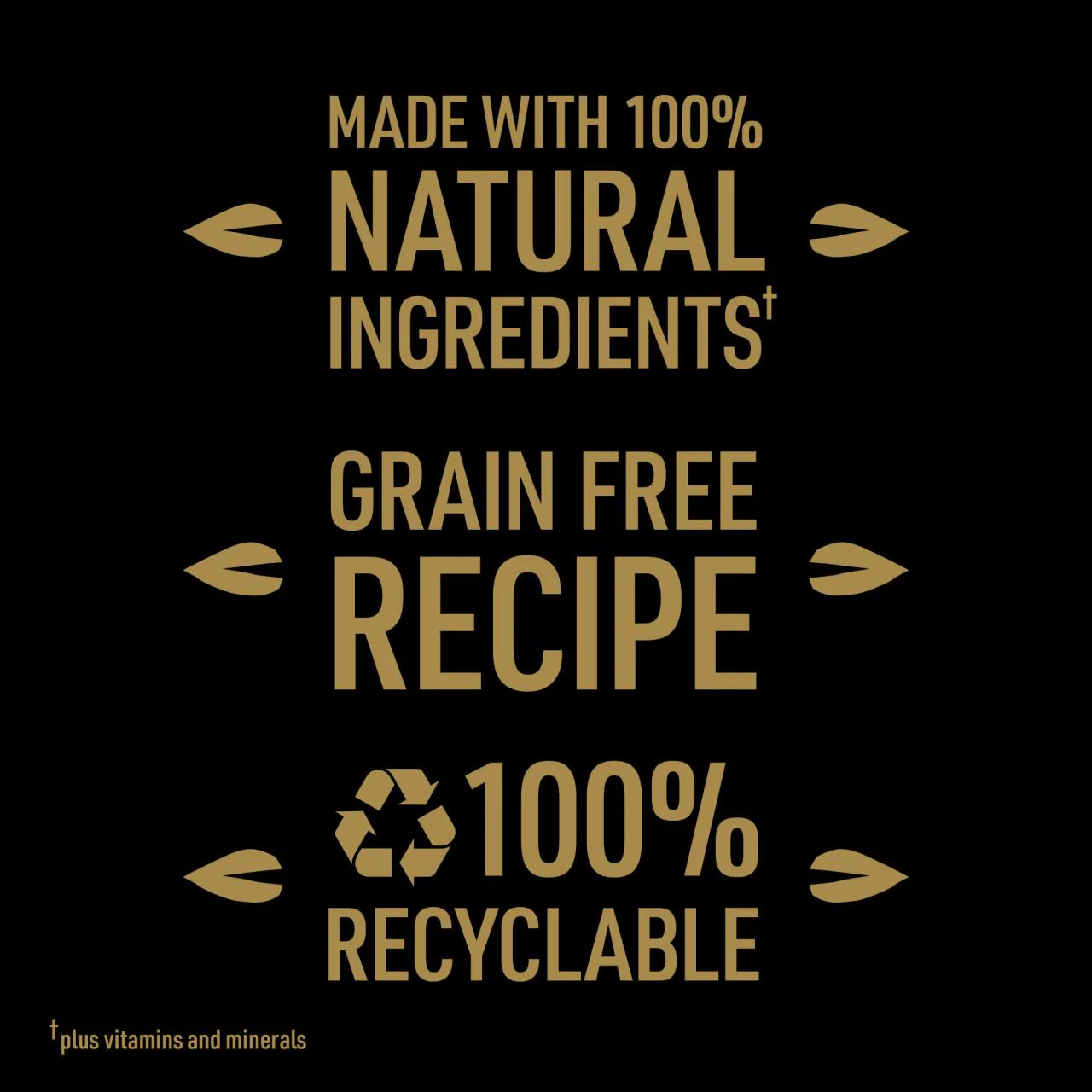CESAR NATURAL GOODNESS Grain Free Wet dog Food Tins Mixed in Loaf - Image 5