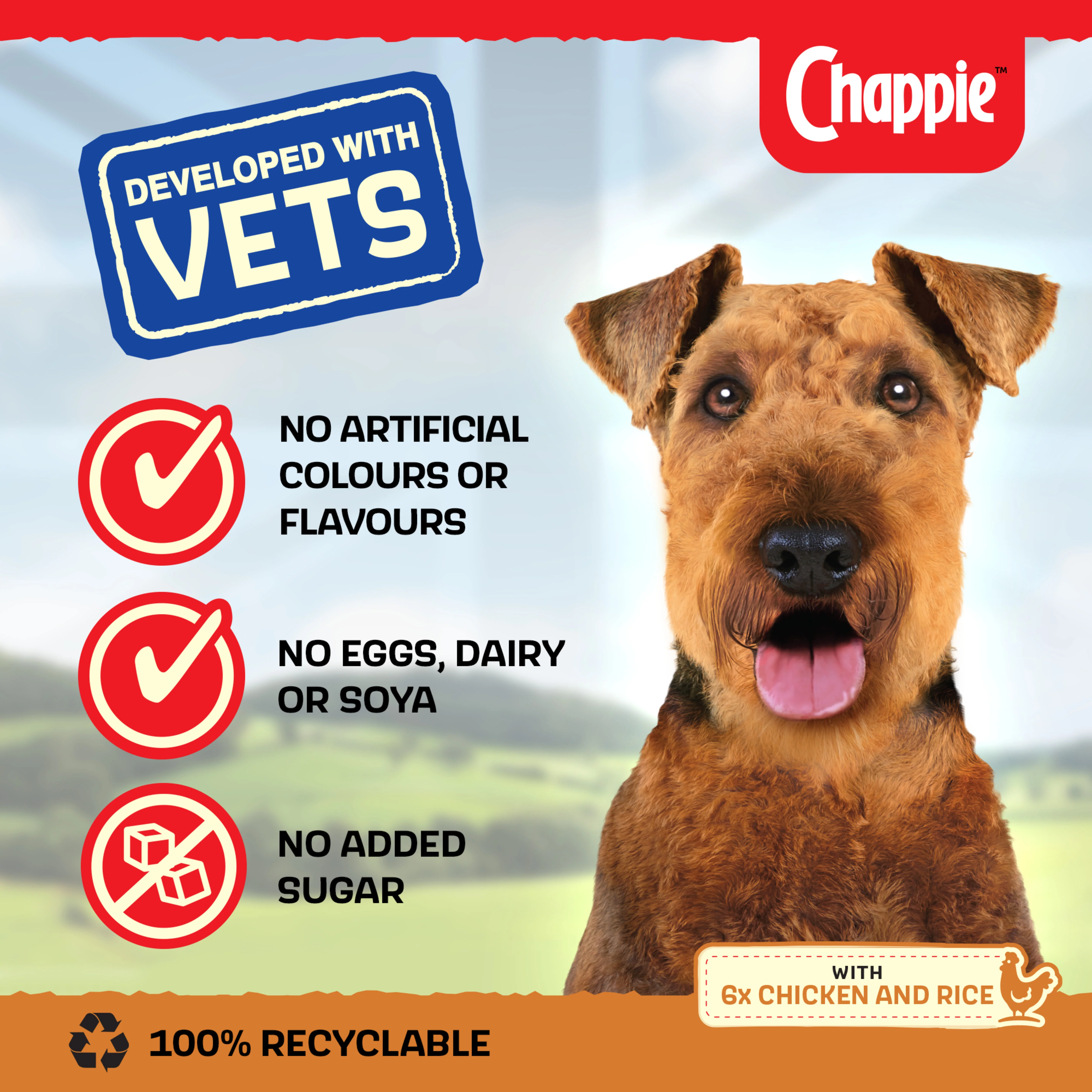 Chappie Adult Wet Dog Food Tins Chicken & Rice in Loaf - Image 5