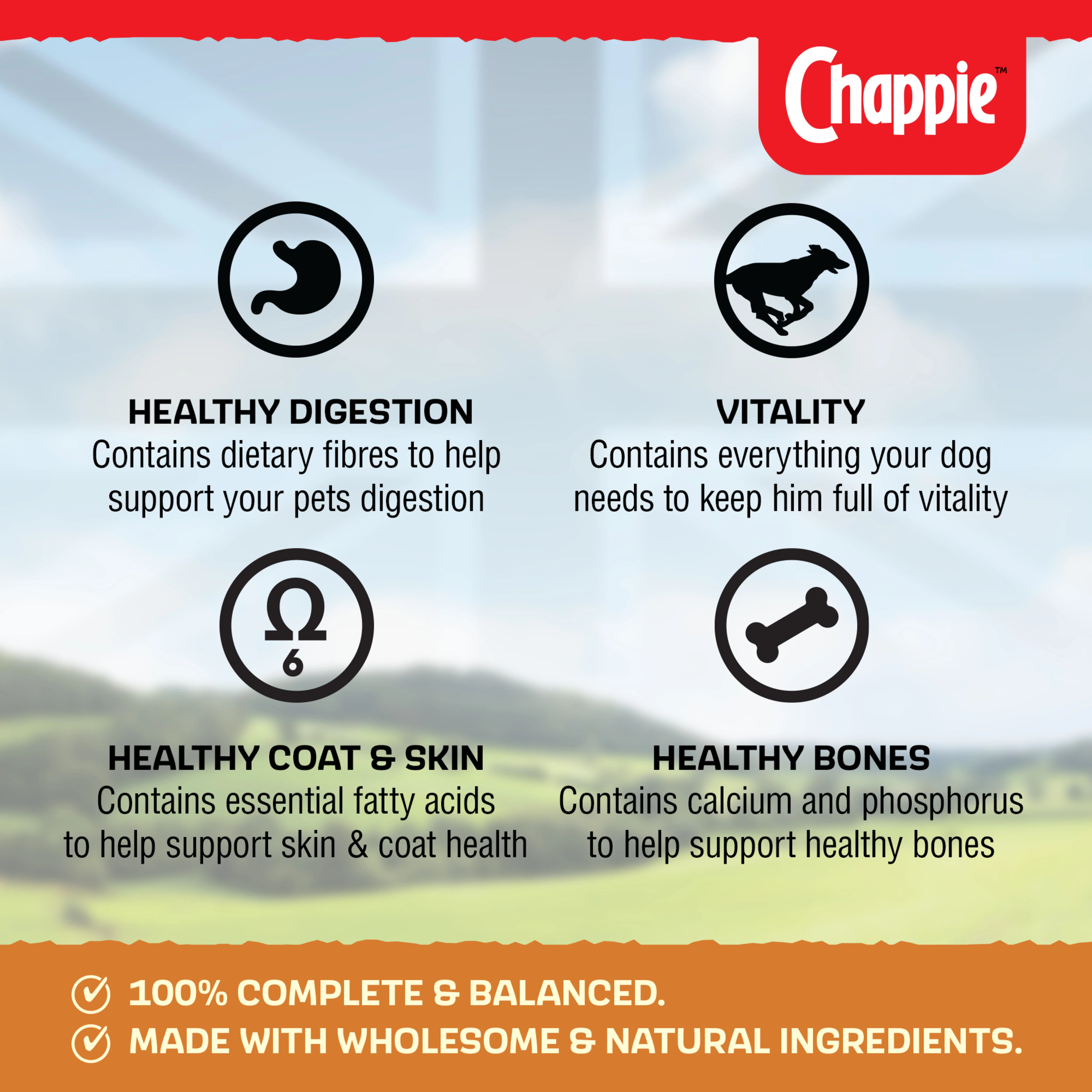 Chappie Adult Wet Dog Food Tins Chicken & Rice in Loaf - Image 6