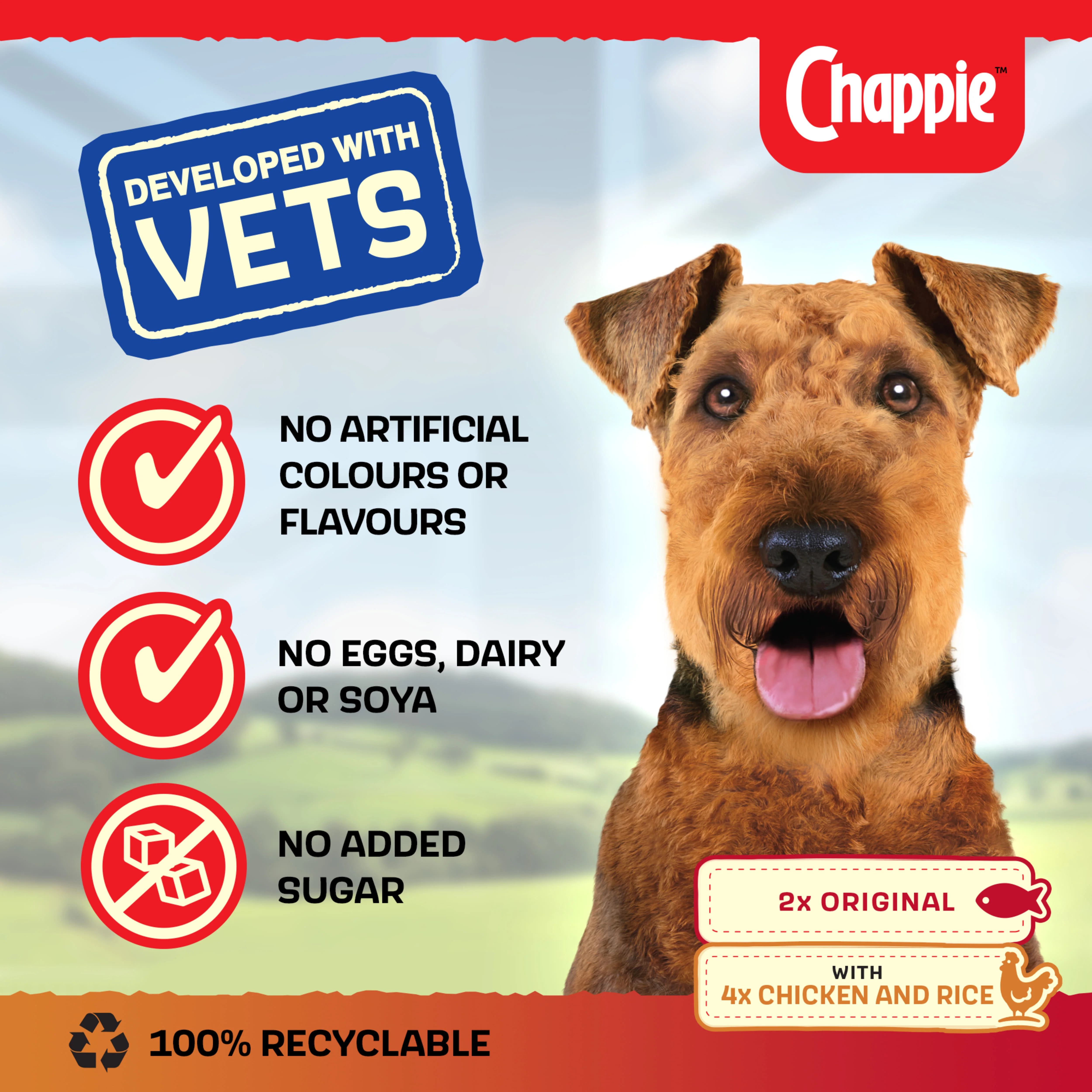 Chappie Adult Wet Dog Food Tins Favourites in Loaf - Image 5
