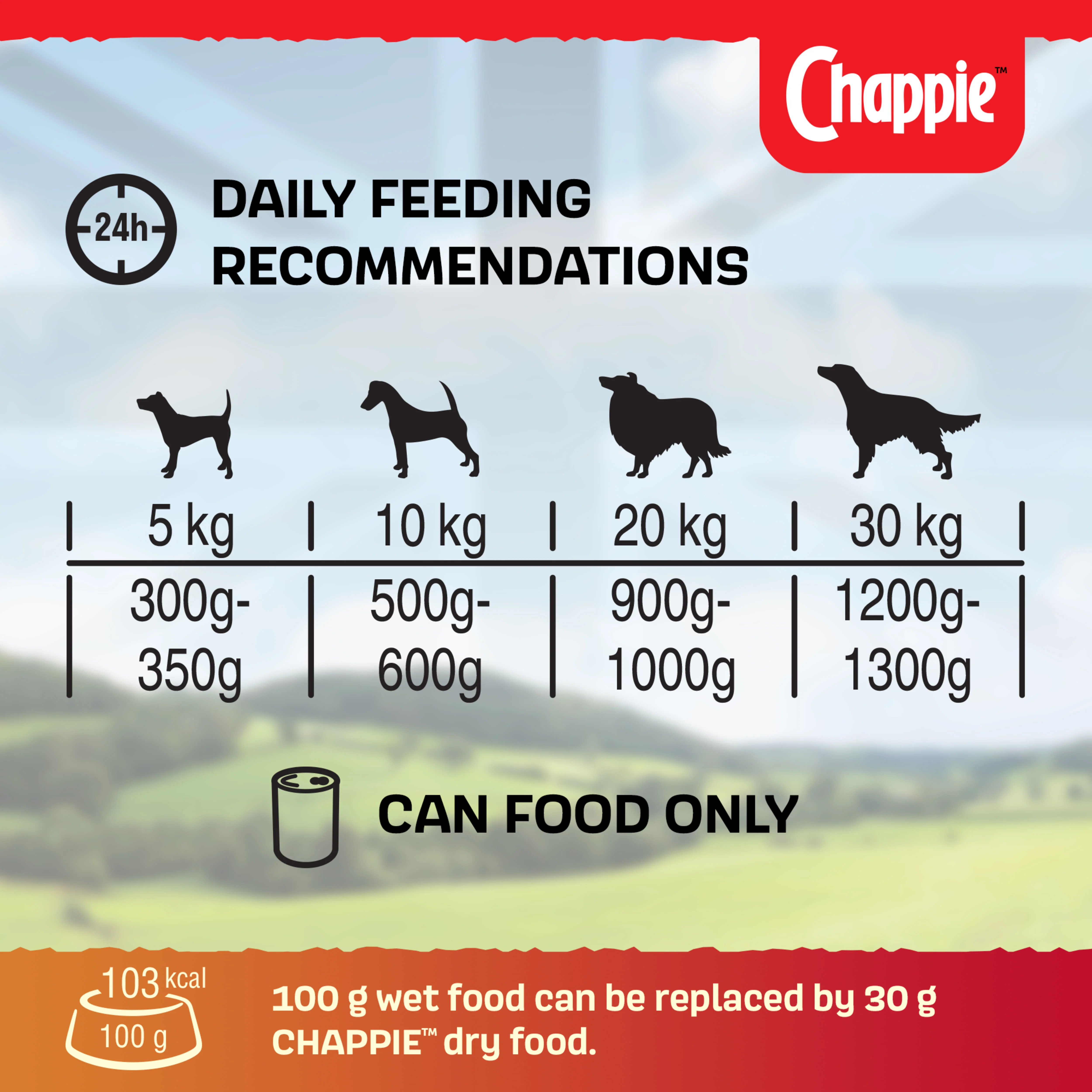 Chappie Adult Wet Dog Food Tins Favourites in Loaf - Image 9