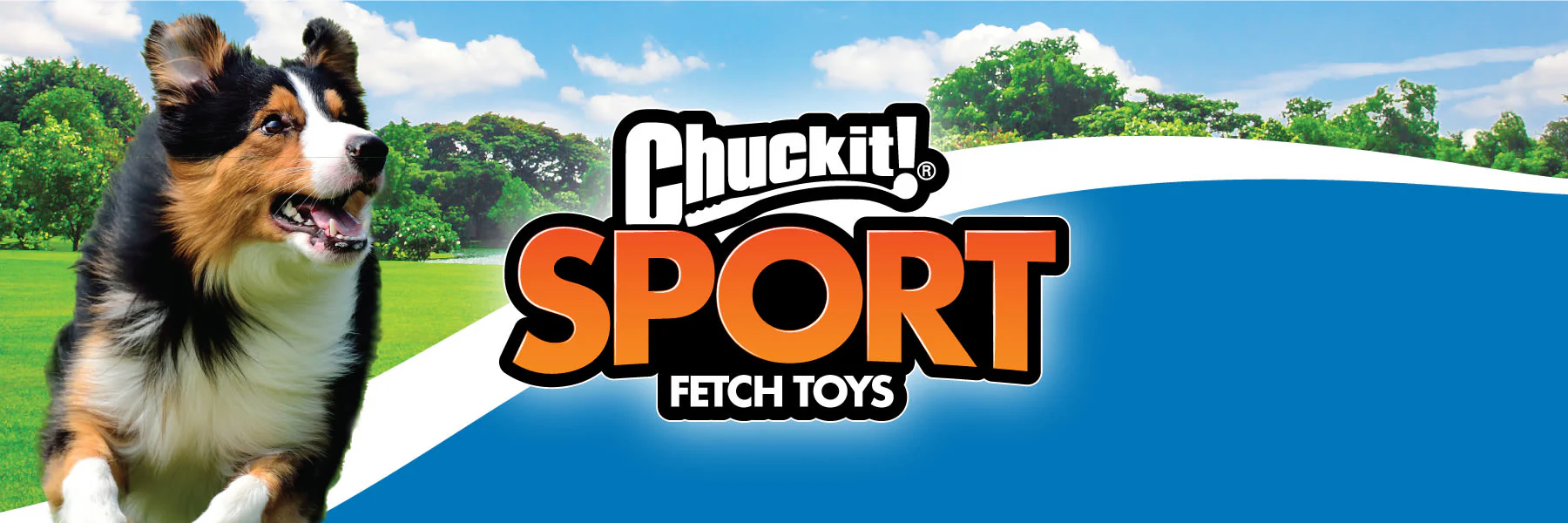 Chuckit! Fetch Medley 3 Pack Assorted Small Dog Ball Toy - Image 5