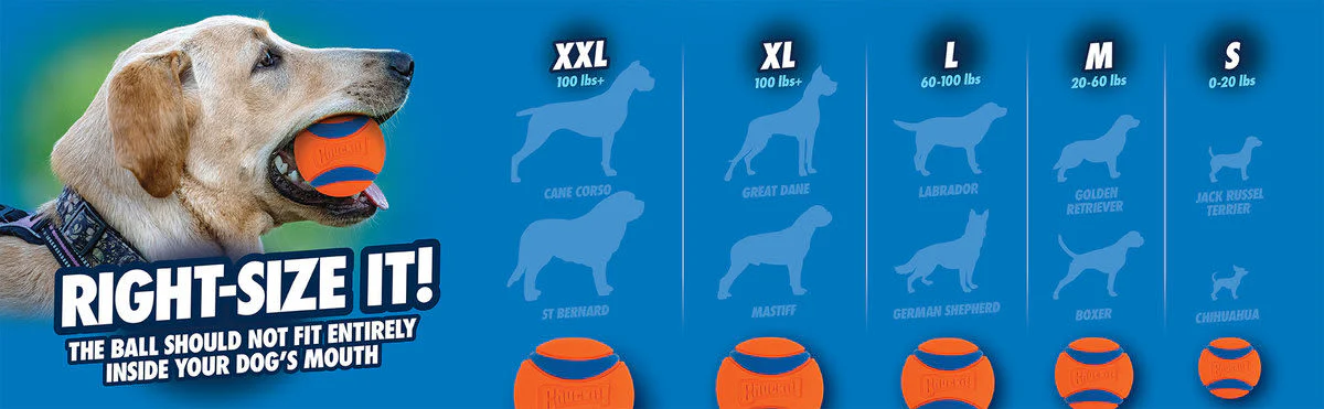 Chuckit! Fetch Medley Gen 3 Medium Orange Ball Dog Toy - Image 7