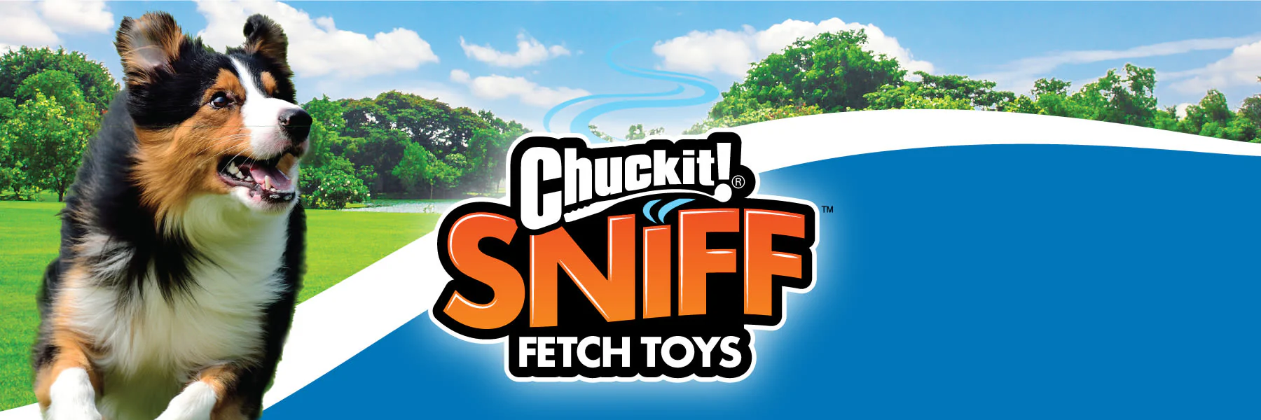Chuckit! Sniff Fetch Ball Peanut Butter Medium Green Ball Dog Toy - Image 12