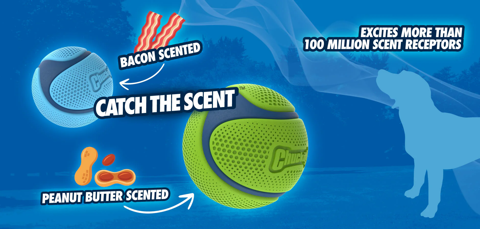 Chuckit! Sniff Fetch Ball Peanut Butter Medium Green Ball Dog Toy - Image 8