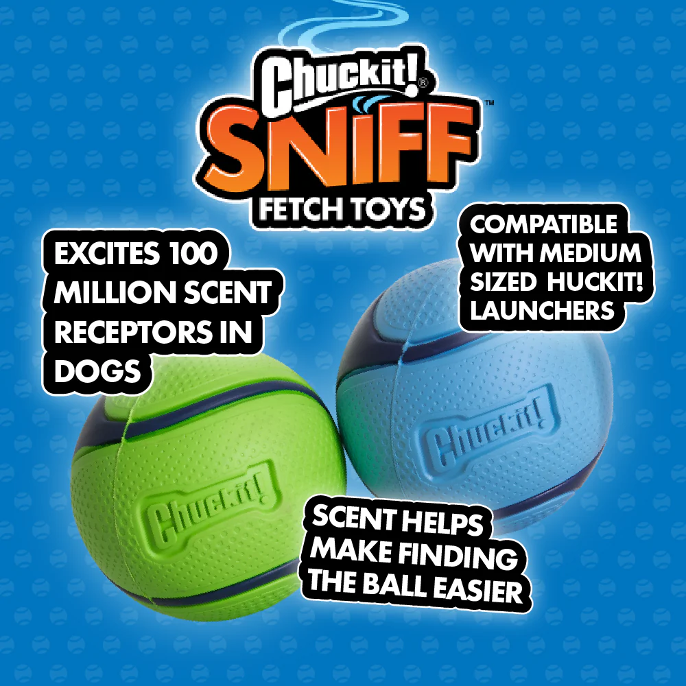 Chuckit! Sniff Fetch Ball Peanut Butter Medium Green Ball Dog Toy - Image 9