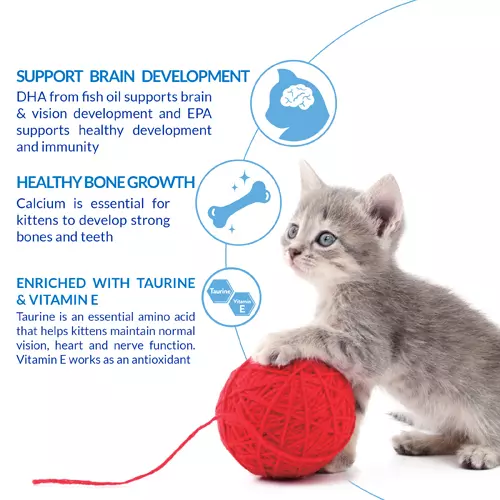 Ciao Churu 4 Pack Kitten Treat - Tuna Recipe - Image 2