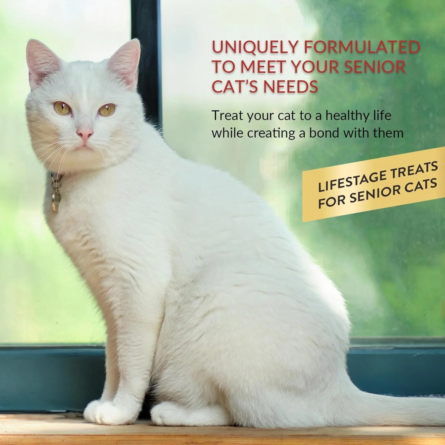 Ciao Churu 4 Pack Senior Cat Treat - Tuna Recipe - Image 3