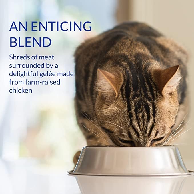 Ciao Stew Wet Cat Food - Chicken with Salmon Recipe - Image 3