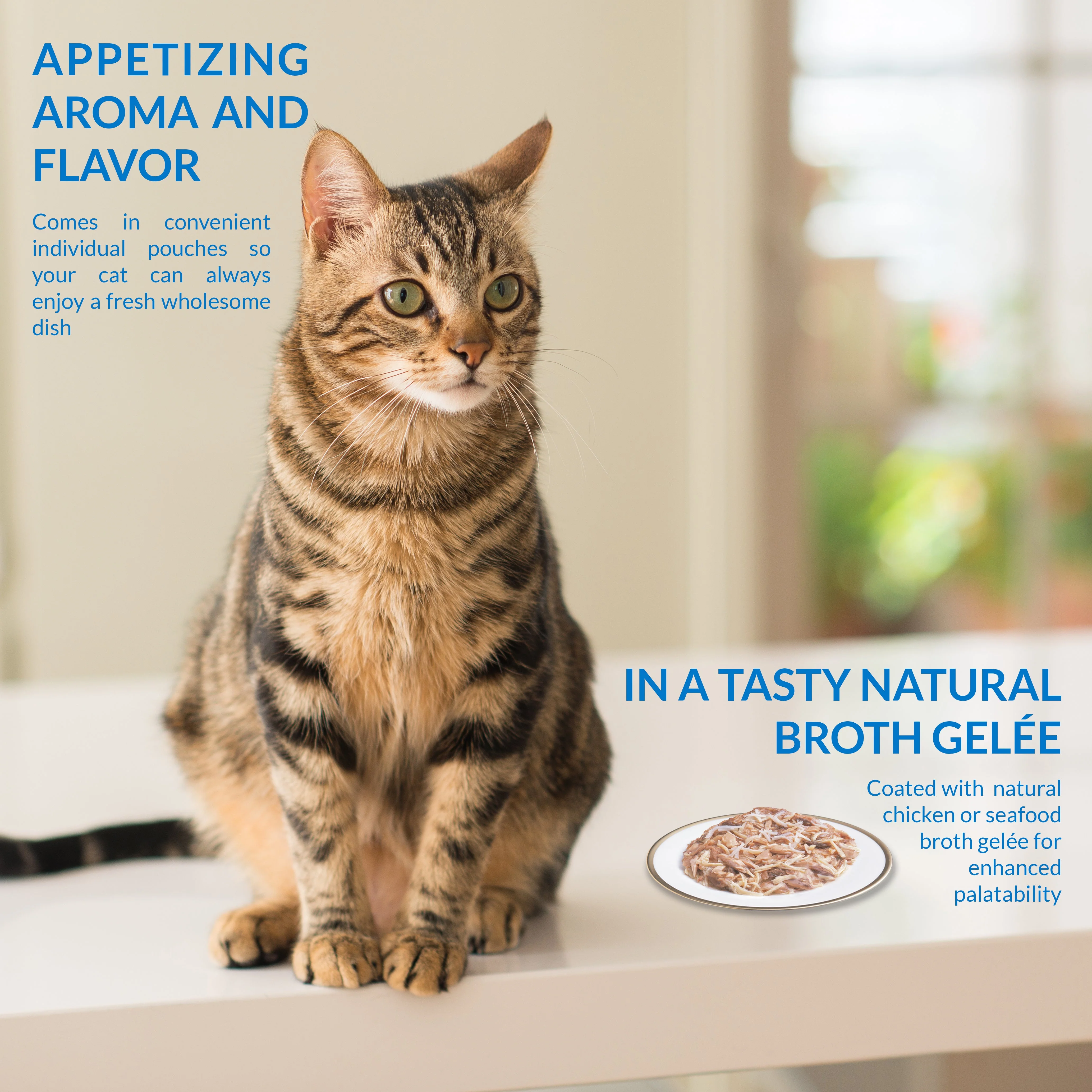 Ciao Twin Packs Wet Cat Food - Tuna & Chicken with Scallop Recipe in Scallop Broth - Image 2