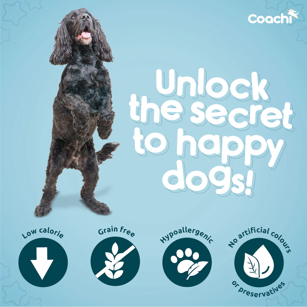 Coachi Natural Dog Calming Treats - Turkey - Image 4