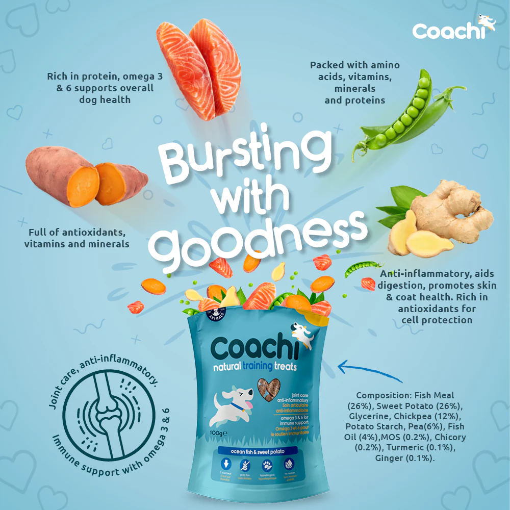Coachi Natural Dog Training Treats - Ocean Fish - Image 2