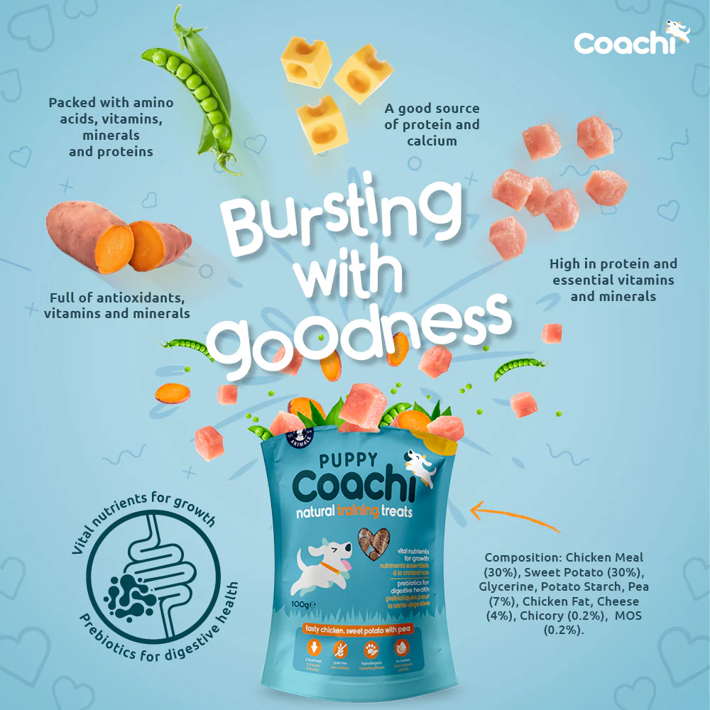 Coachi Puppy Natural Dog Training Treats - Chicken - Image 2