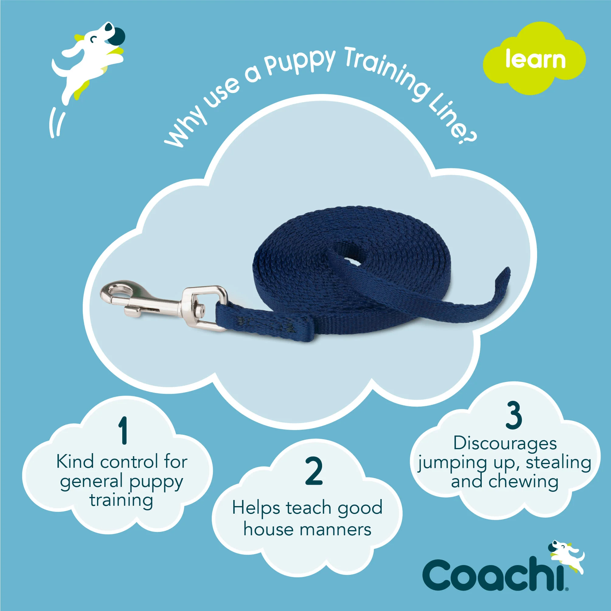 Coachi Puppy Training Line for Dogs - Navy - Image 4