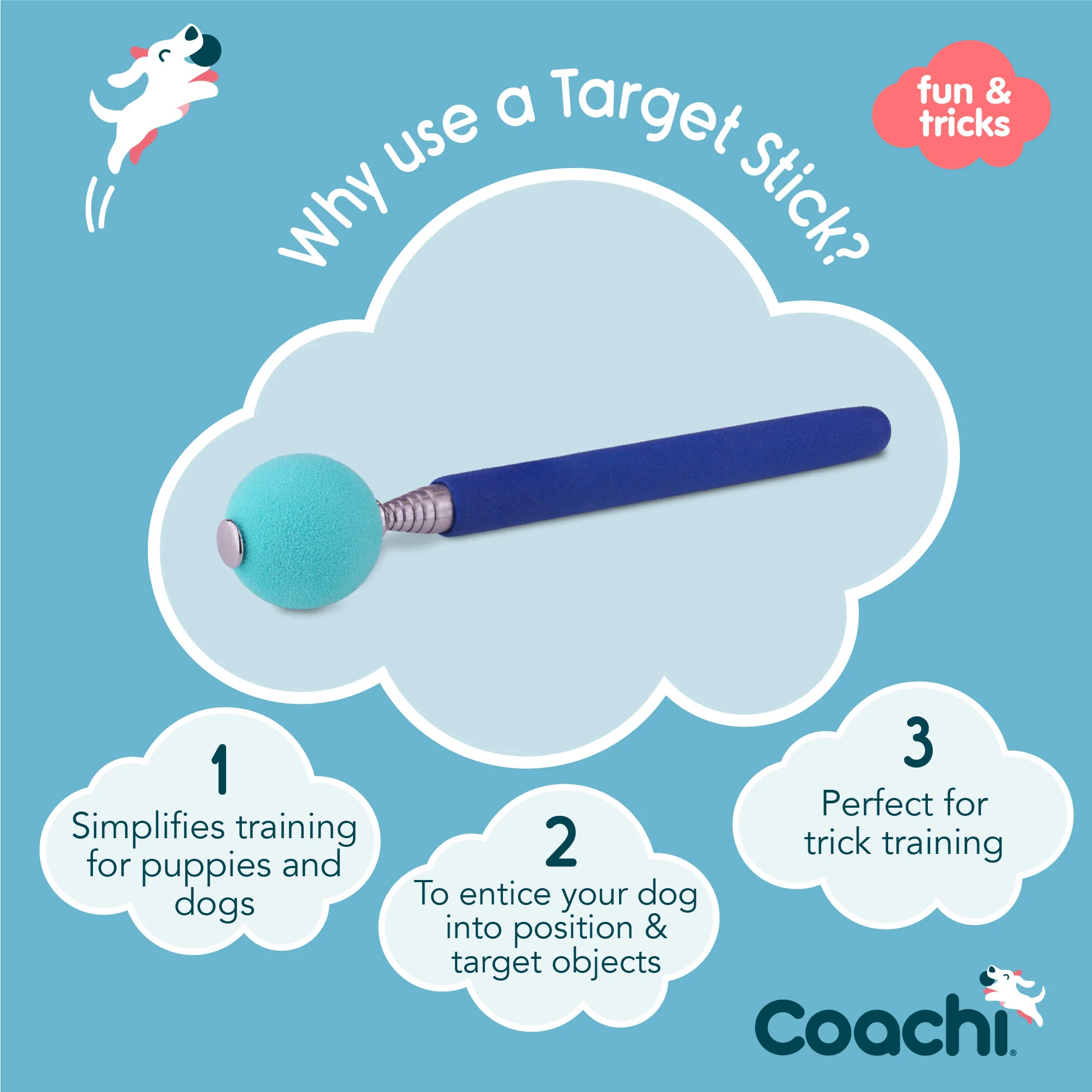 Coachi Target Stick for Dogs - Navy & Light Blue - Image 4