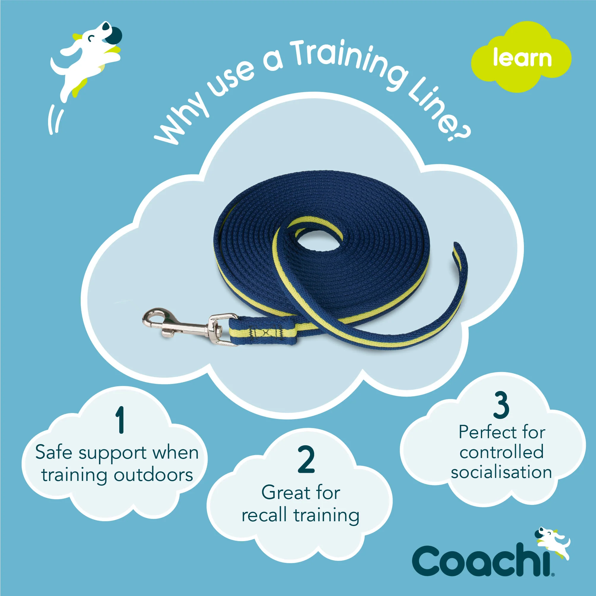 Coachi Training Line for Dogs - Navy & Lime - Image 4