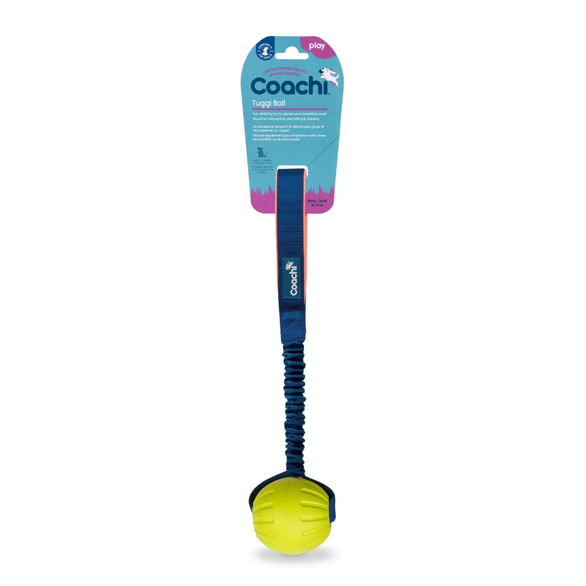 Coachi Tuggi Ball Toy for Dogs - Navy, Coral & Lime - Image 3