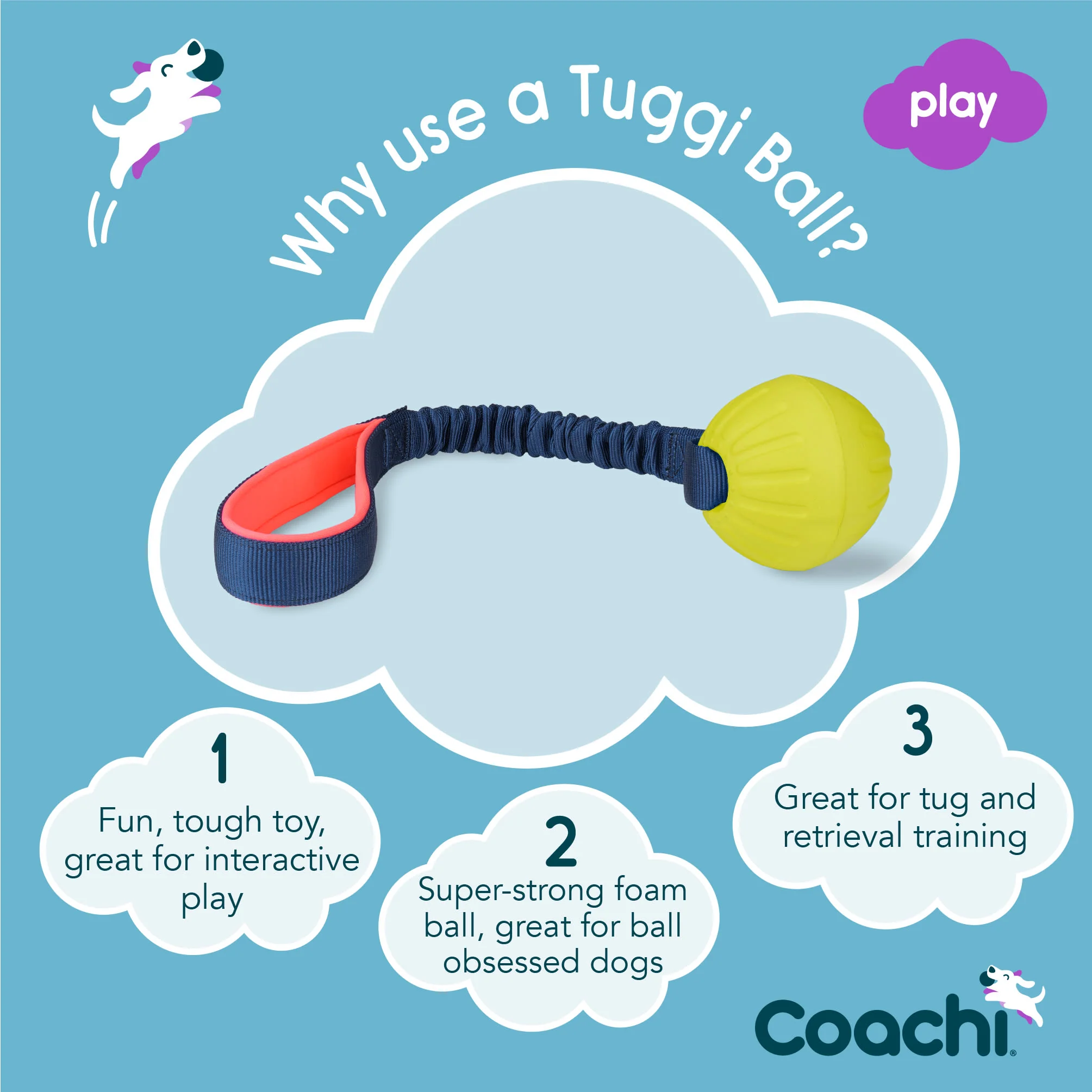 Coachi Tuggi Ball Toy for Dogs - Navy, Coral & Lime - Image 4