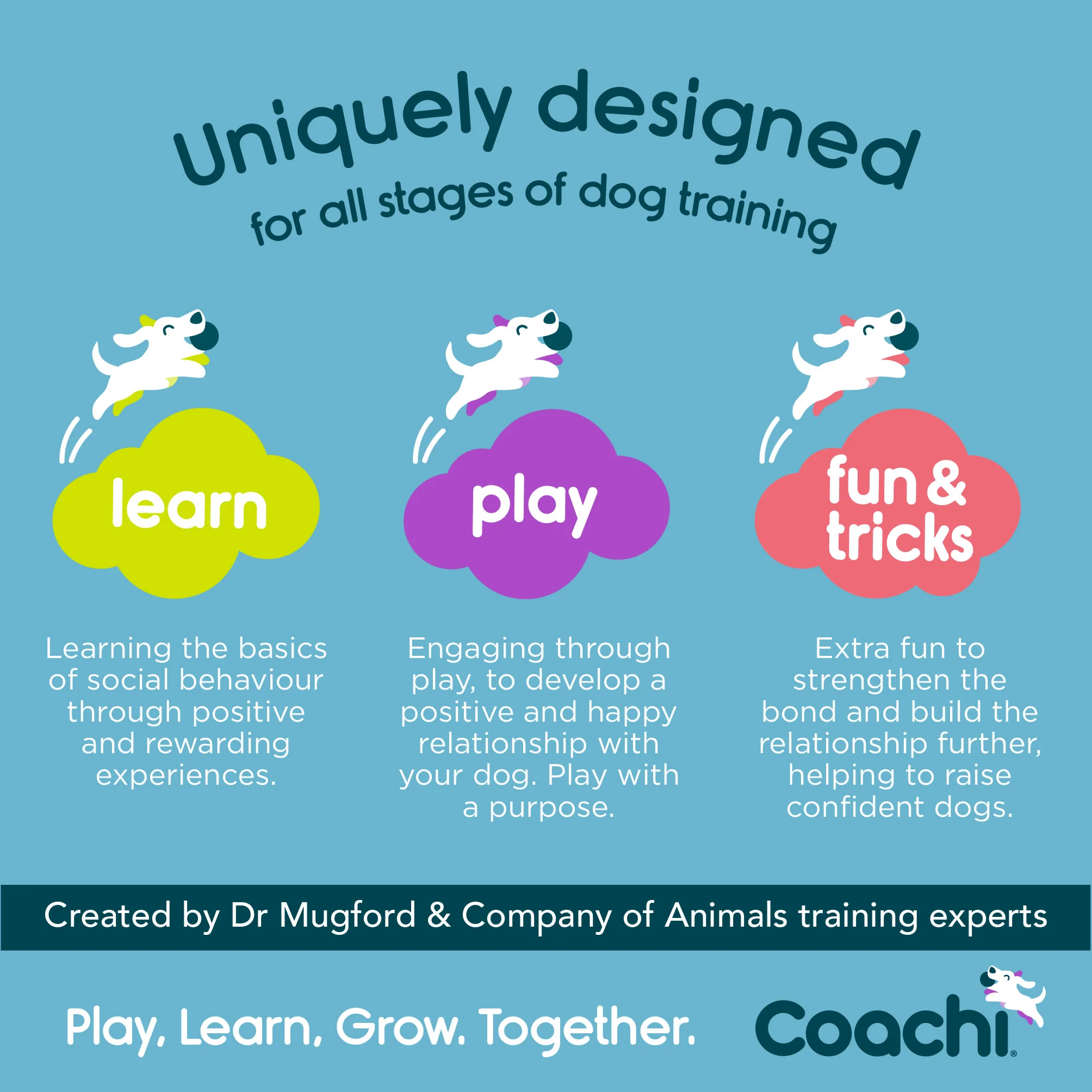 Coachi Tuggi Hide Toy for Dogs - Navy, Lime & Light Blue - Image 7