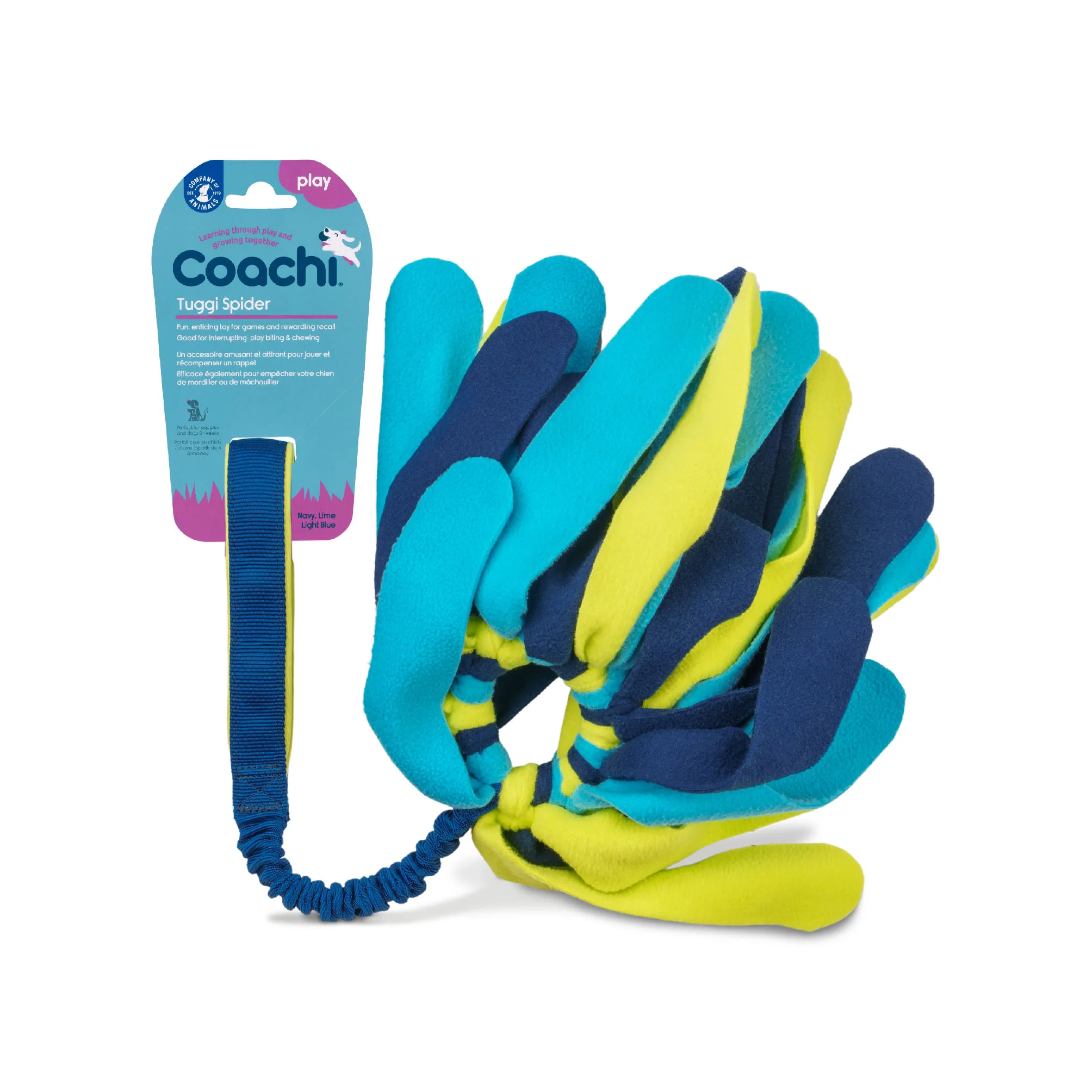 Coachi Tuggi Spider Toy for Dogs - Navy, Lime & Light Blue - Image 2