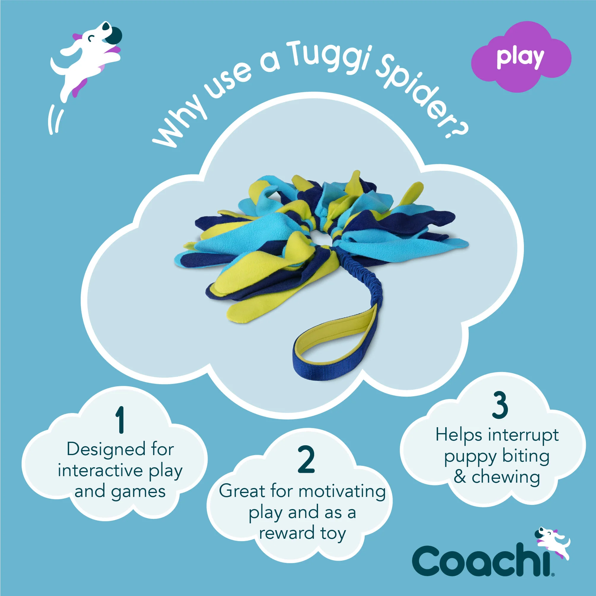 Coachi Tuggi Spider Toy for Dogs - Navy, Lime & Light Blue - Image 4