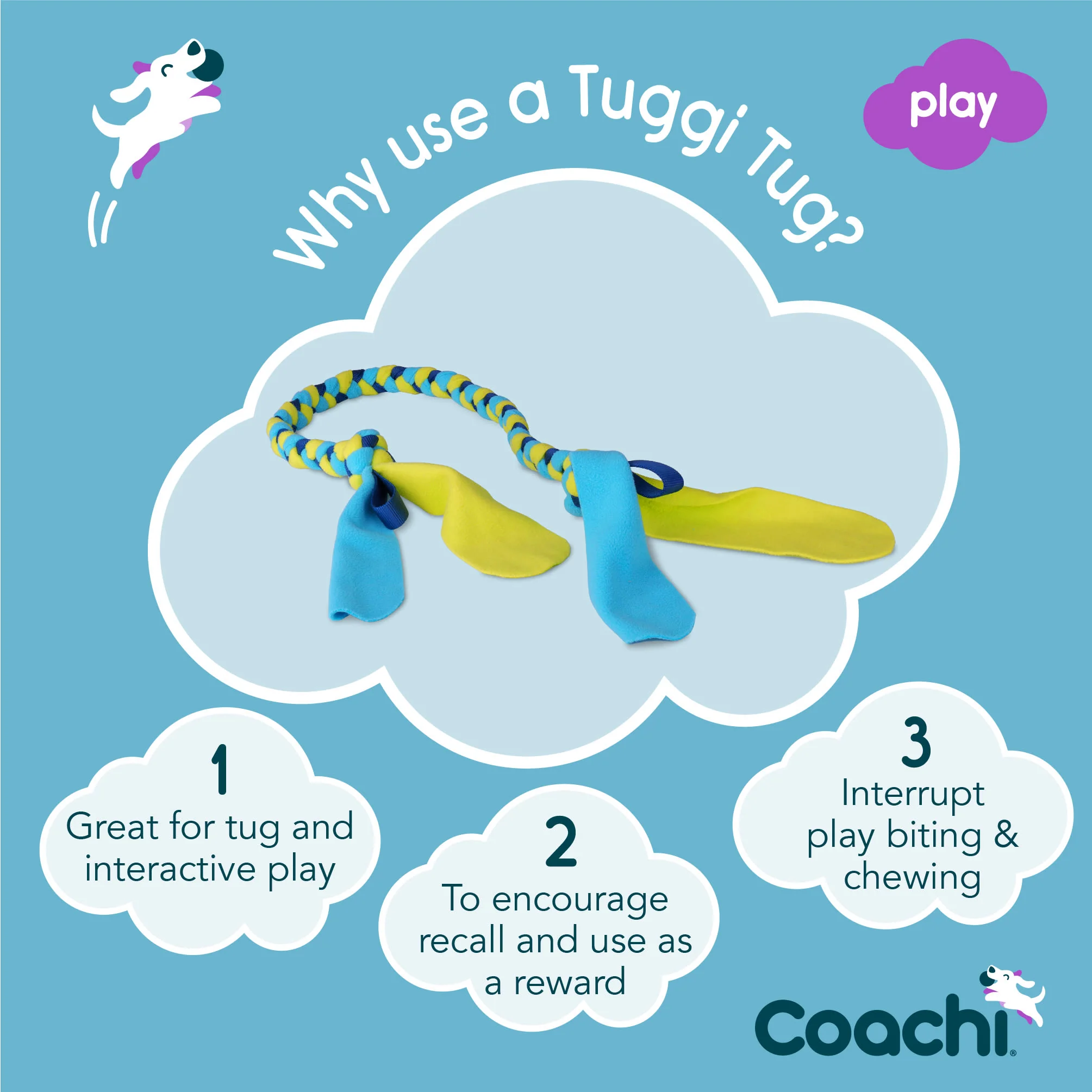 Coachi Tuggi Tug Toy for Dogs - Navy, Lime & Light Blue - Image 4