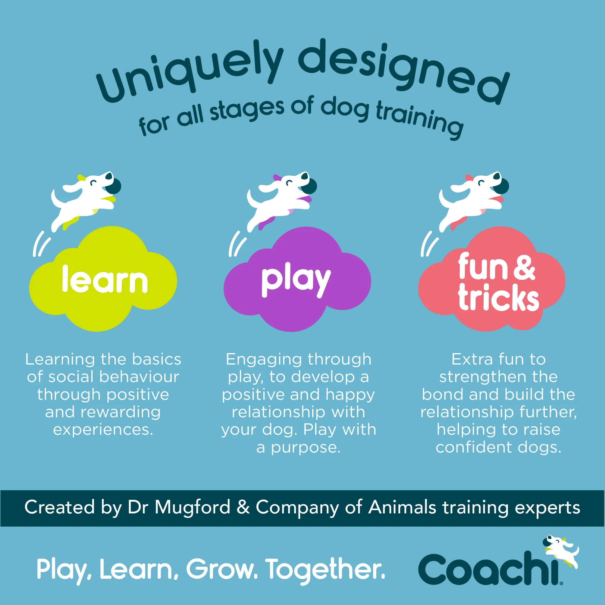 Coachi Waterproof Training Line for Dogs - Navy & Blue - Image 7