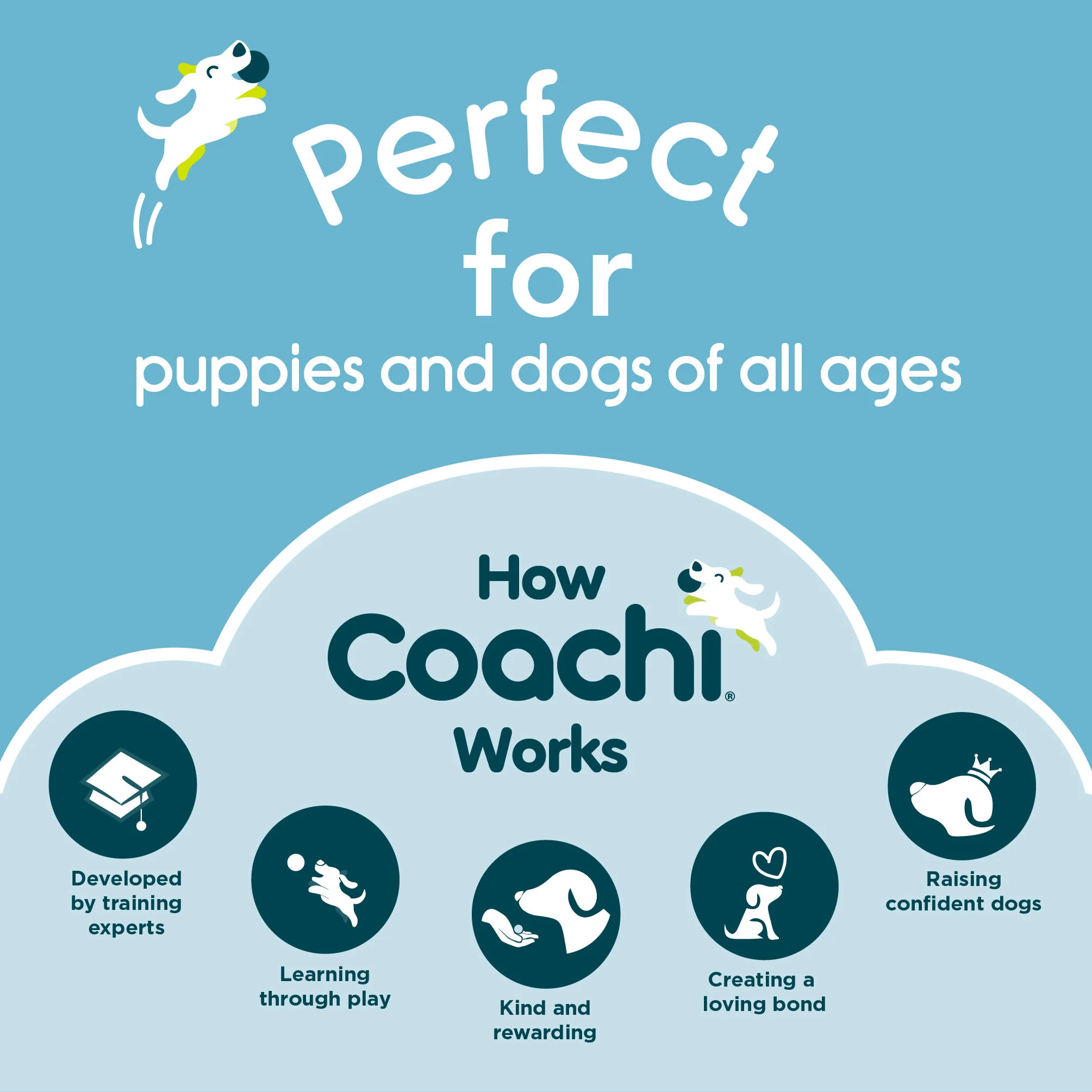 Coachi Waterproof Training Line for Dogs - Navy & Blue - Image 8