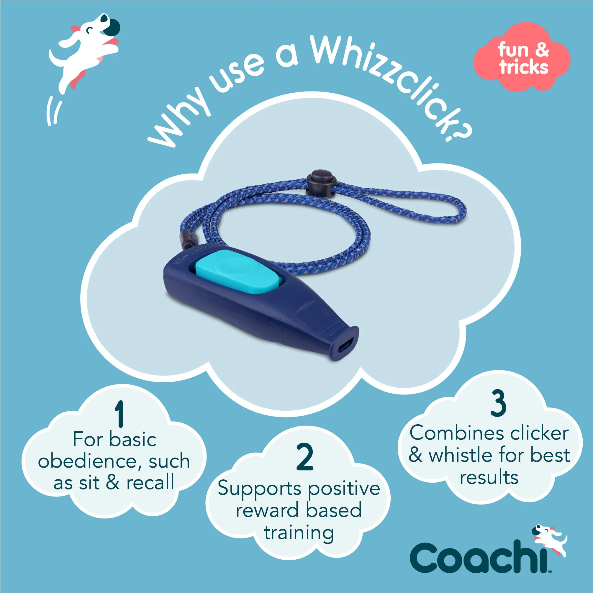 Coachi Whizzclick for Dogs - Navy & Light Blue - Image 4