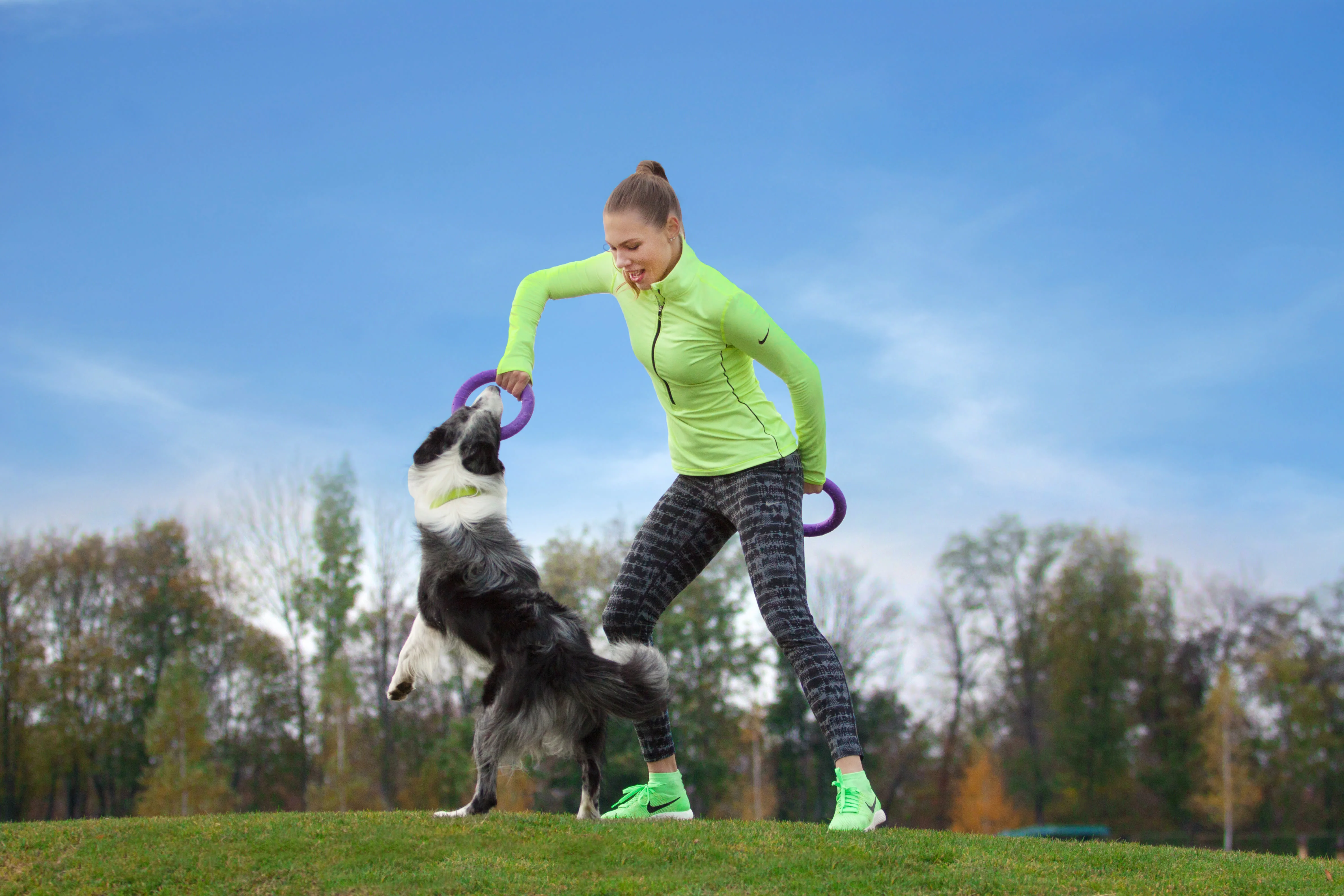 Collar Rubber Puller Dog Fitness Tool Midi - Image 3