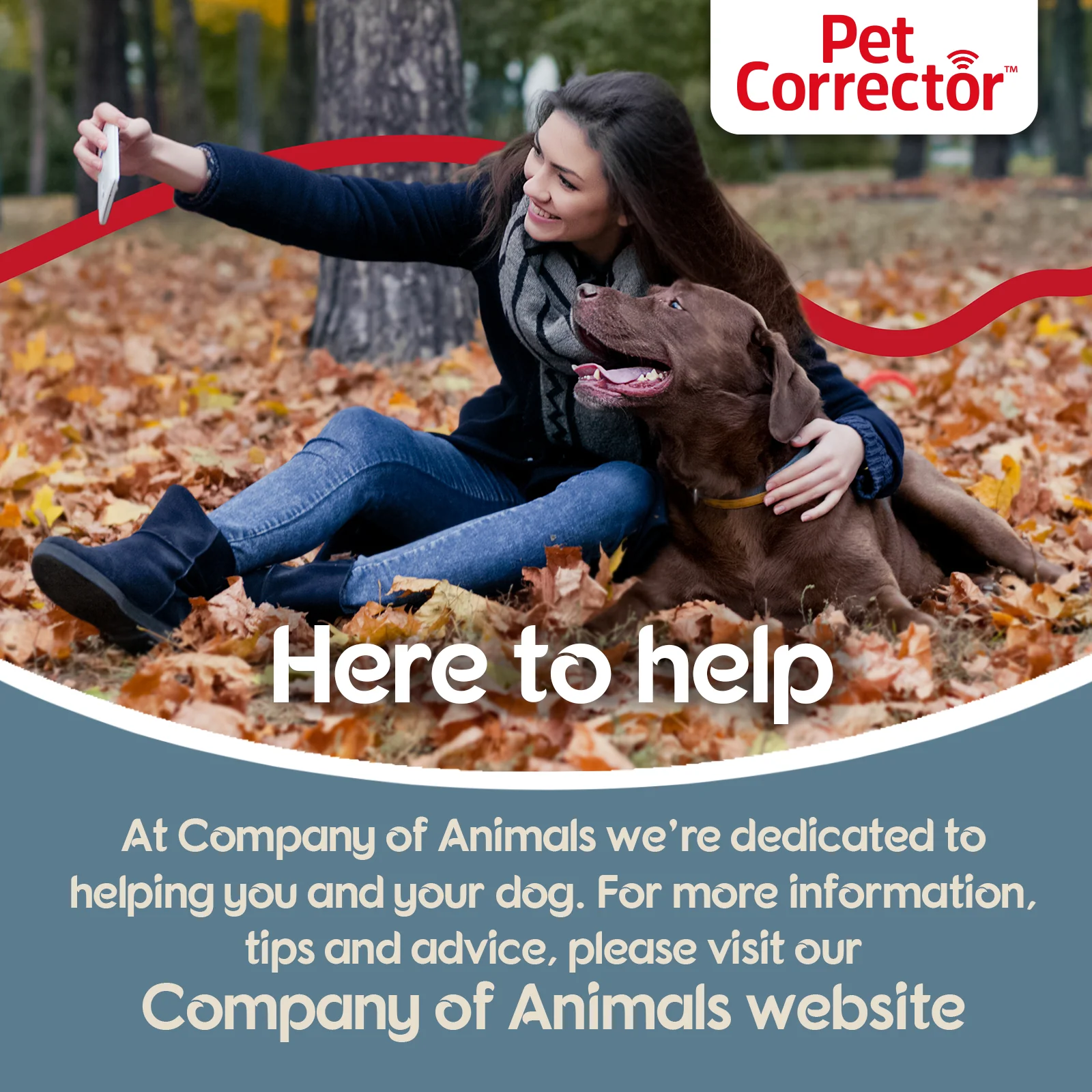 Company of Animals Pet Corrector Spray for Dog - Image 17