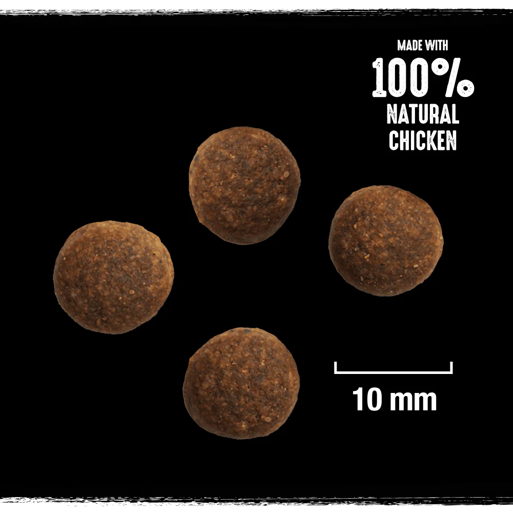Crave Natural Grain Free Adult Dry Dog Food - Turkey & Chicken - Image 2