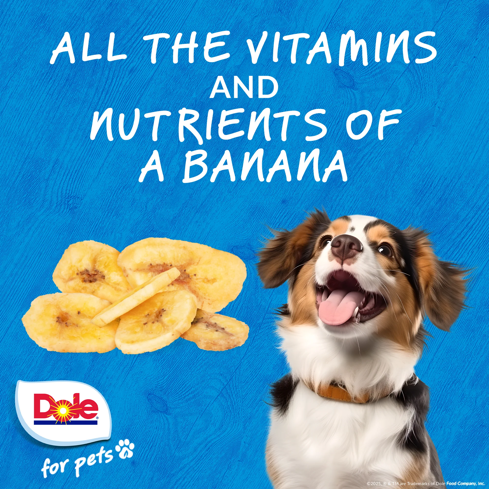 Dole Air Dried Banana Dog Chips - Image 5