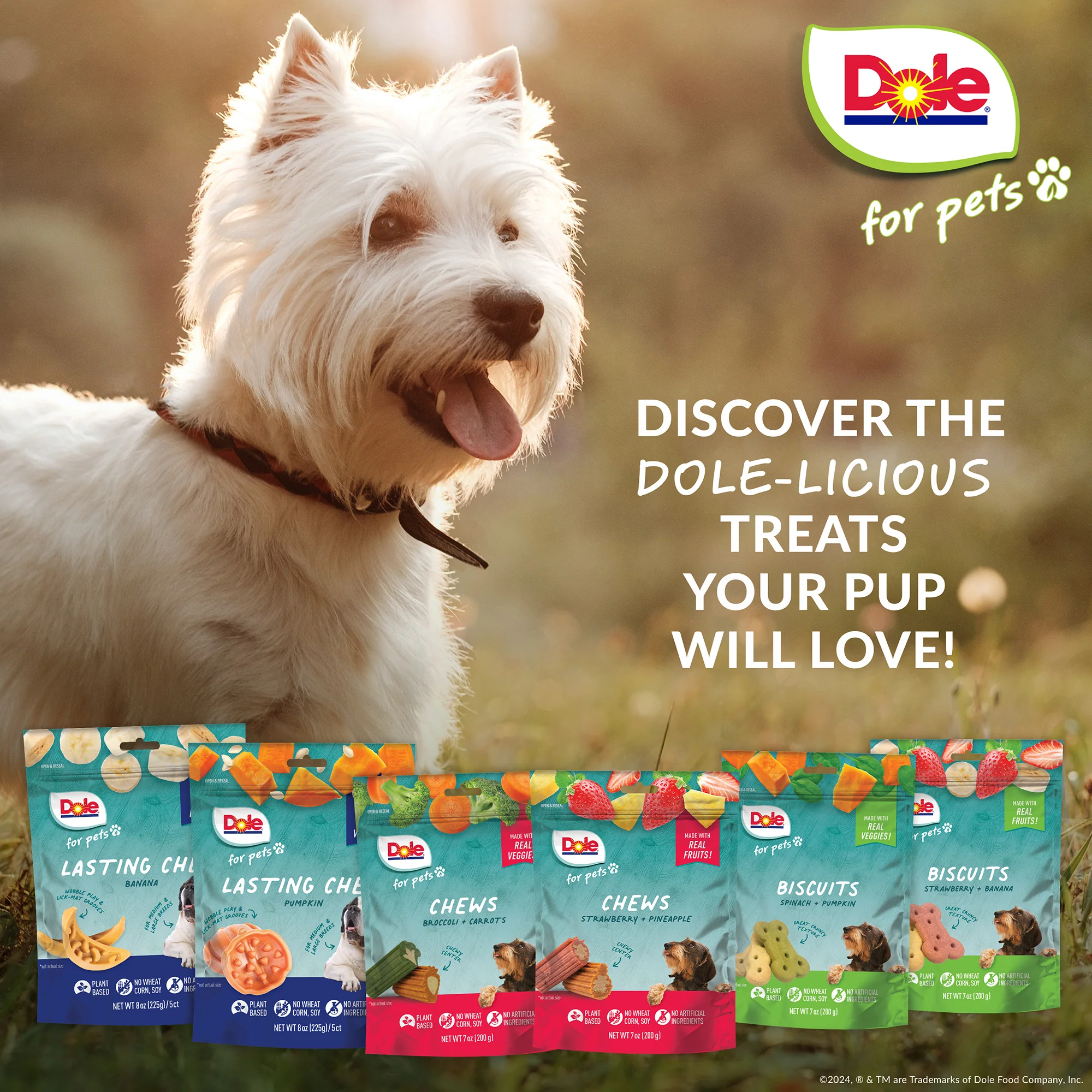 Dole Broccoli & Carrot Dog Chews - Image 7