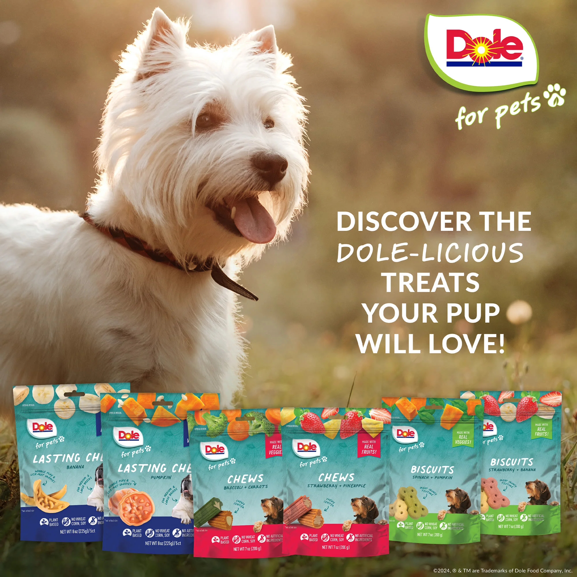 Dole Spinach & Pumpkin Dog Biscuits - Image 7