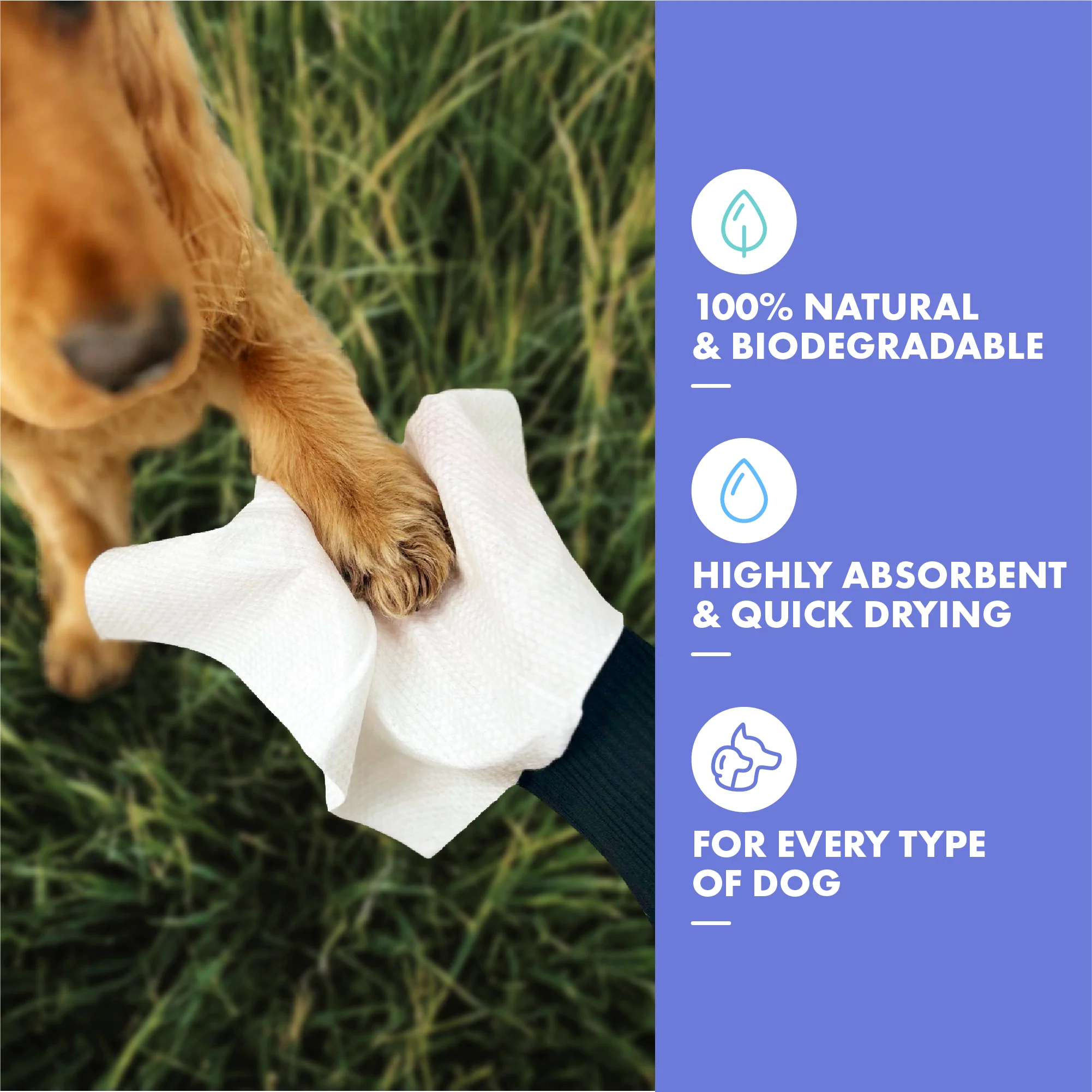 DotDotPet Biodegradable Mini Eco Dog Towels - 10 Pack - Image 3