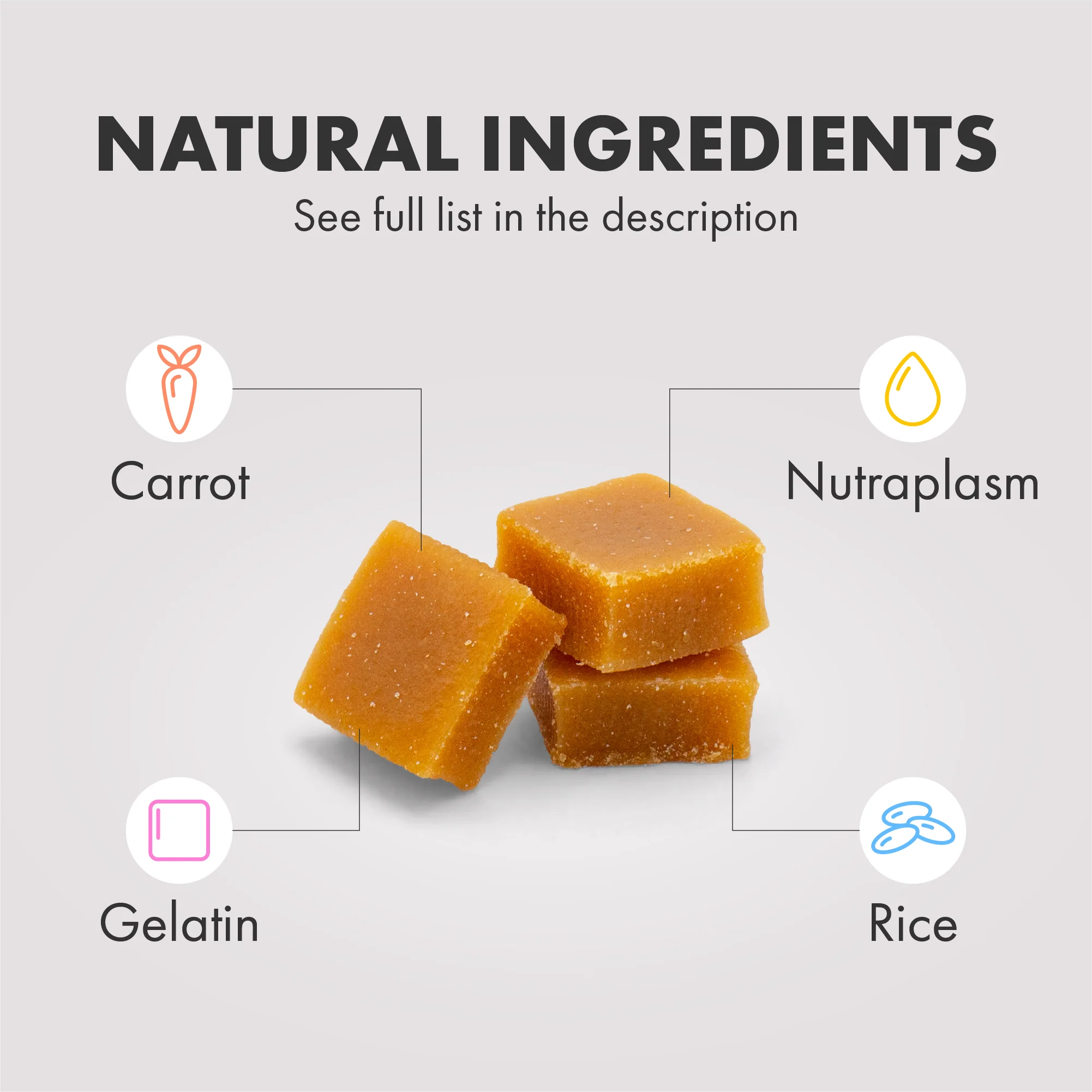 DotDotPet Multifit Multivitamins Cat Gummies - Image 3